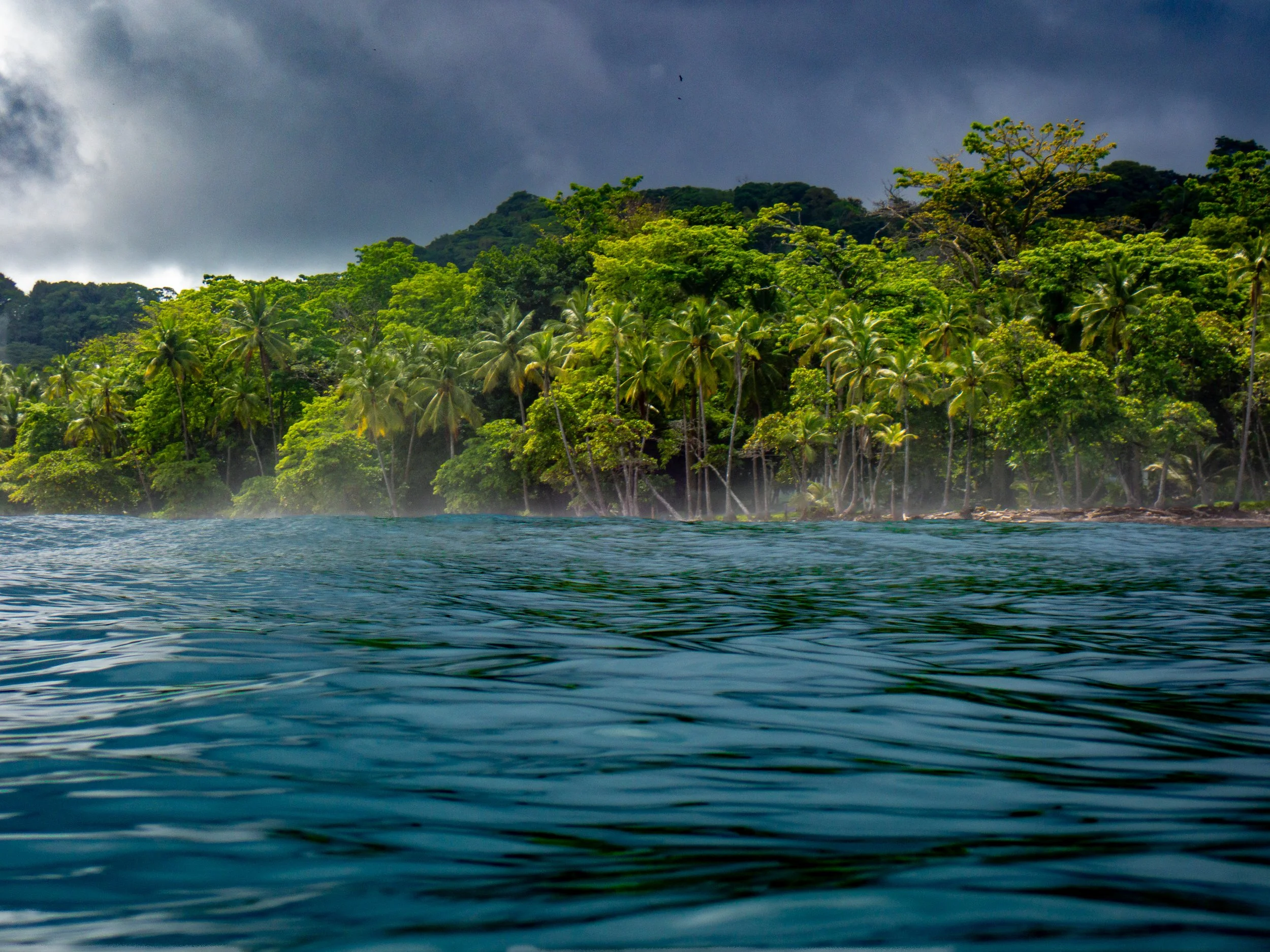 Tropical island with lush green trees and palm trees viewed from the water, with dark storm clouds overhead.