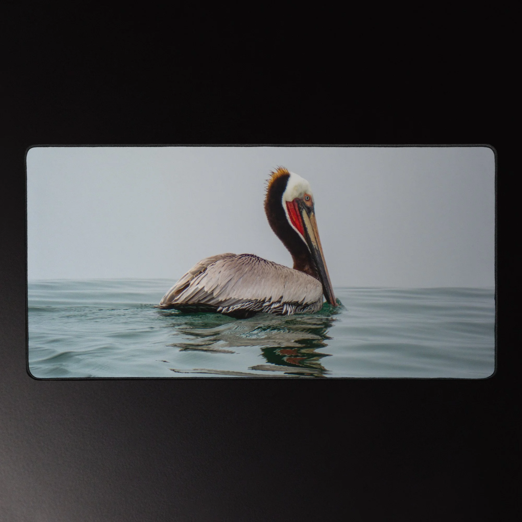 The Silent Voyager - 16x32 Photography Desk Mat