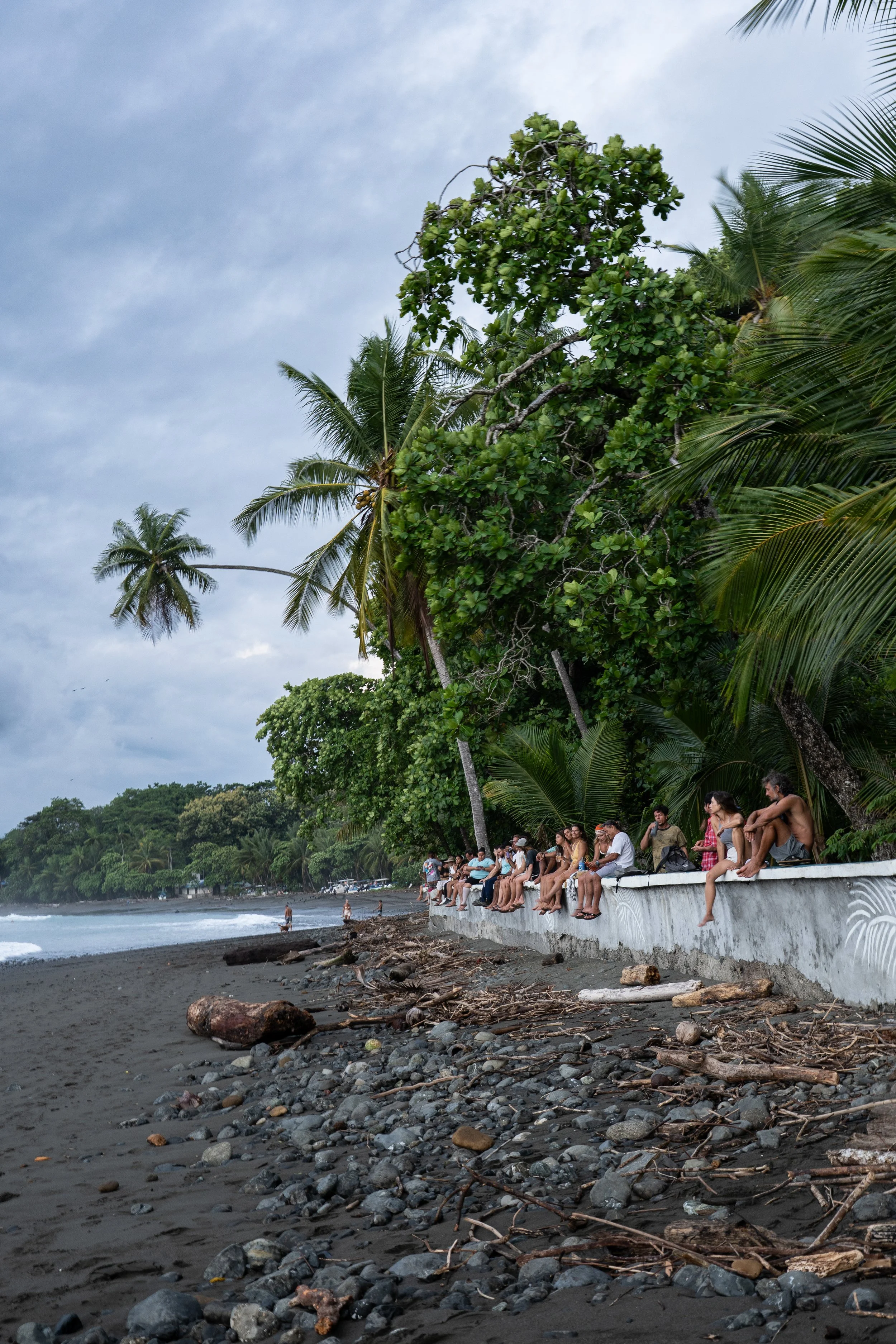 People sitting on a concrete ledge at the edge of a beach, with palm trees and a cloudy sky in the background, along with driftwood and rocks on the shoreline.