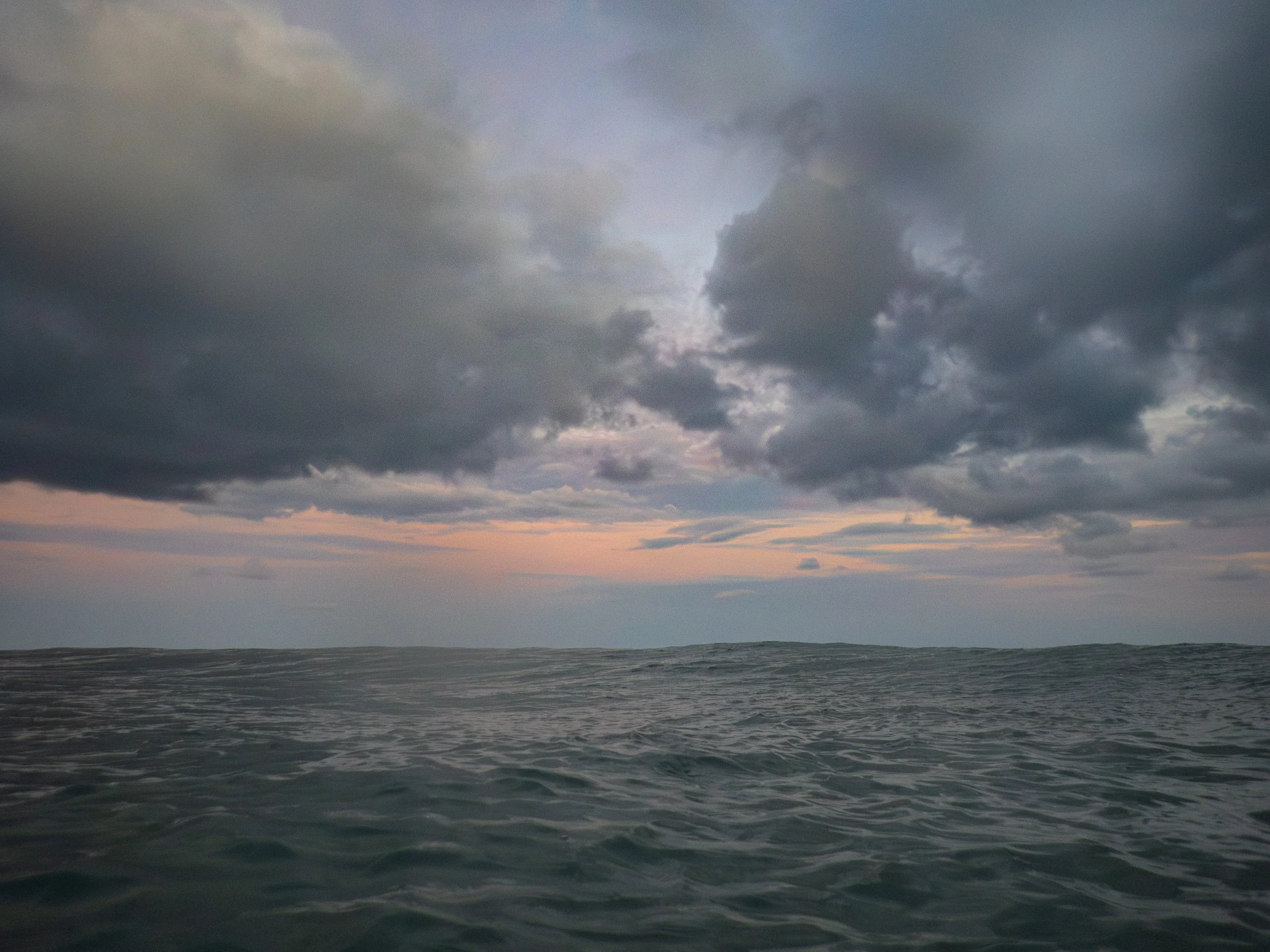 P6130853.jpg