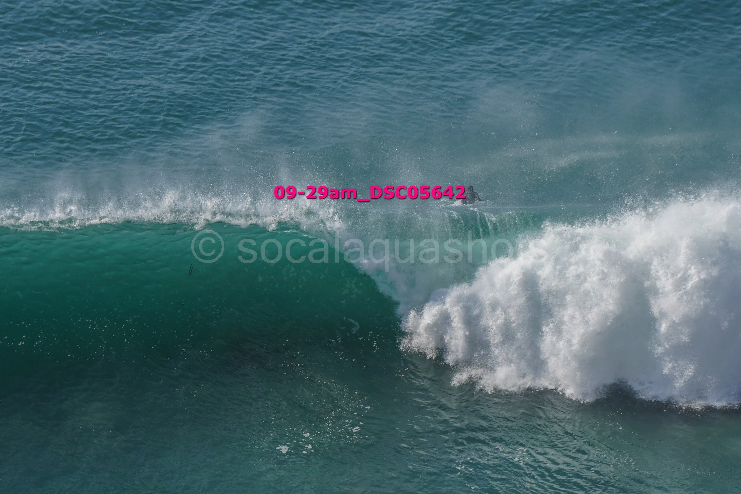A large ocean wave with a surfer riding on it, water spray in the air, ocean in the background, water colored green and blue.