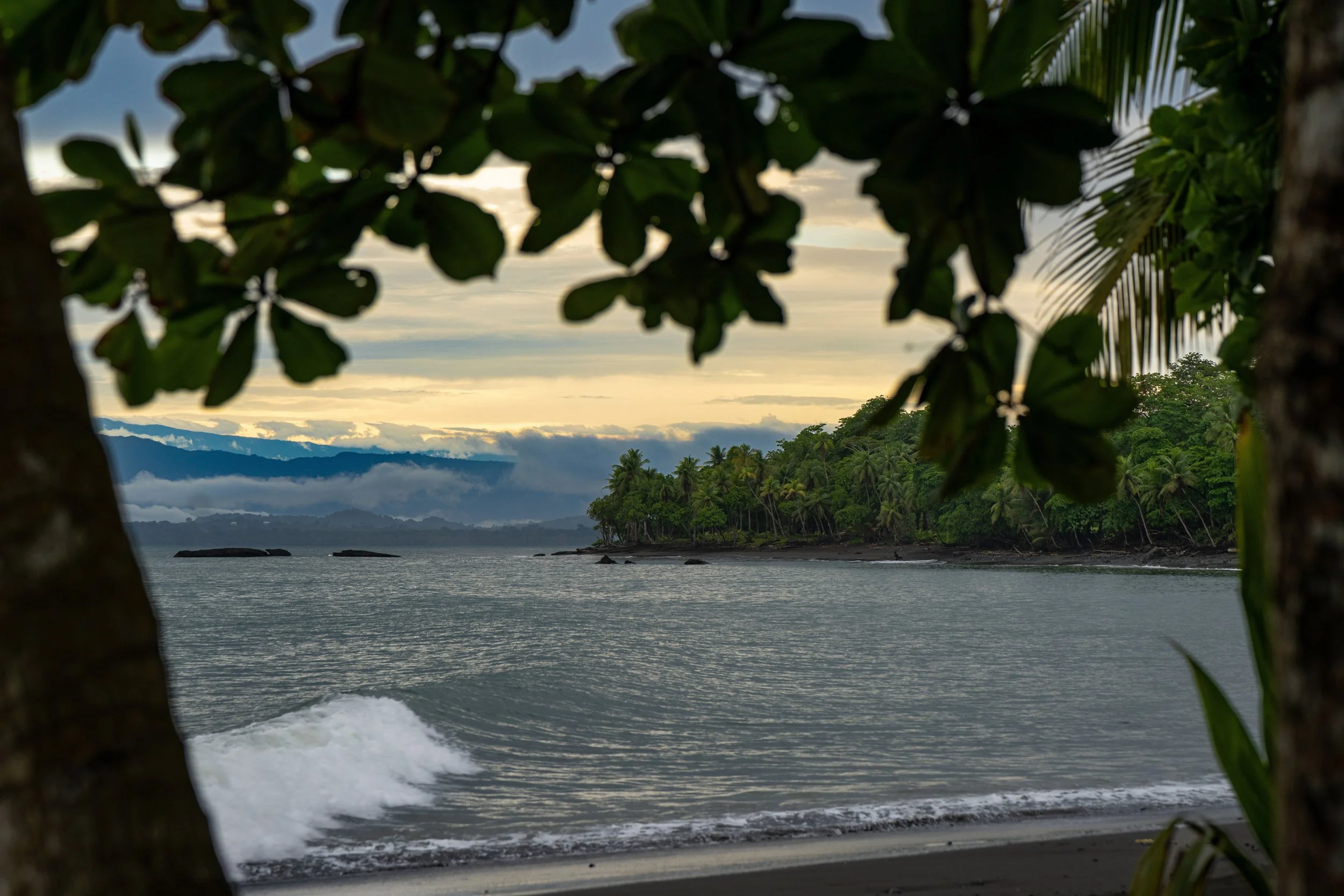 A tropical beach scene viewed through trees and leaves, with calm water, a distant island or coastline, and cloudy sky at sunset or sunrise.