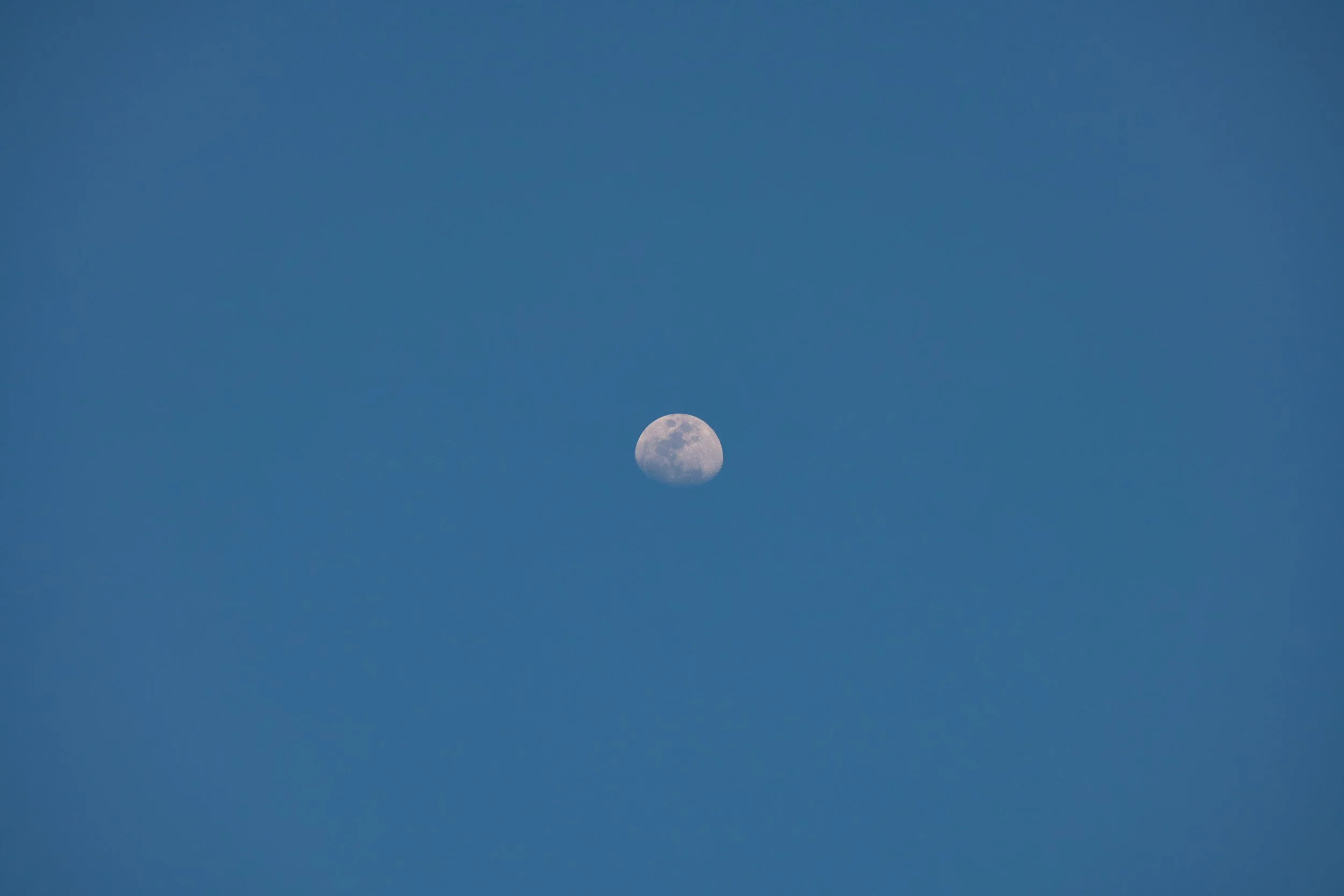 DSC02925.jpg