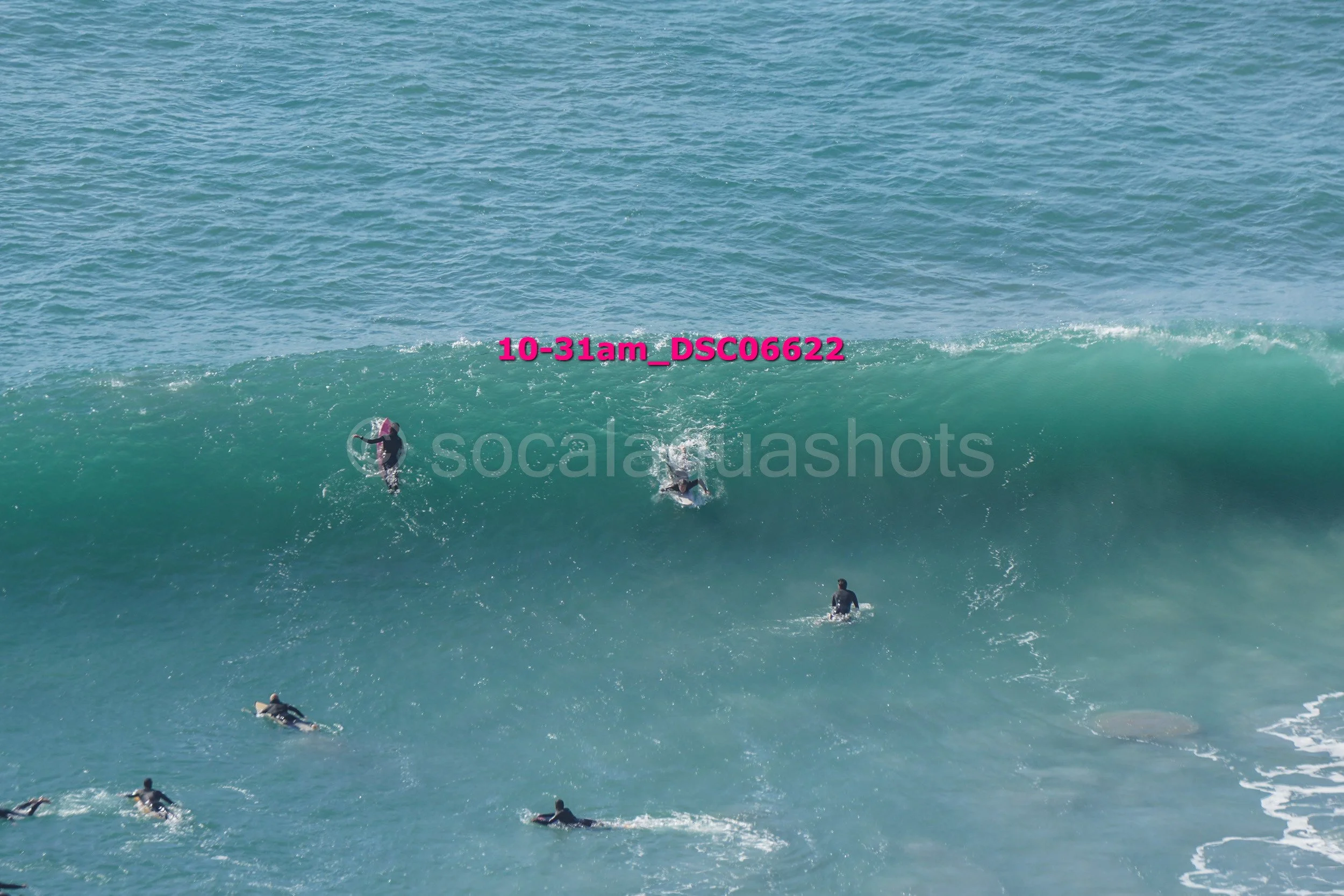 Several surfers on a large ocean wave, some paddling and one riding the wave, with a clear sky.