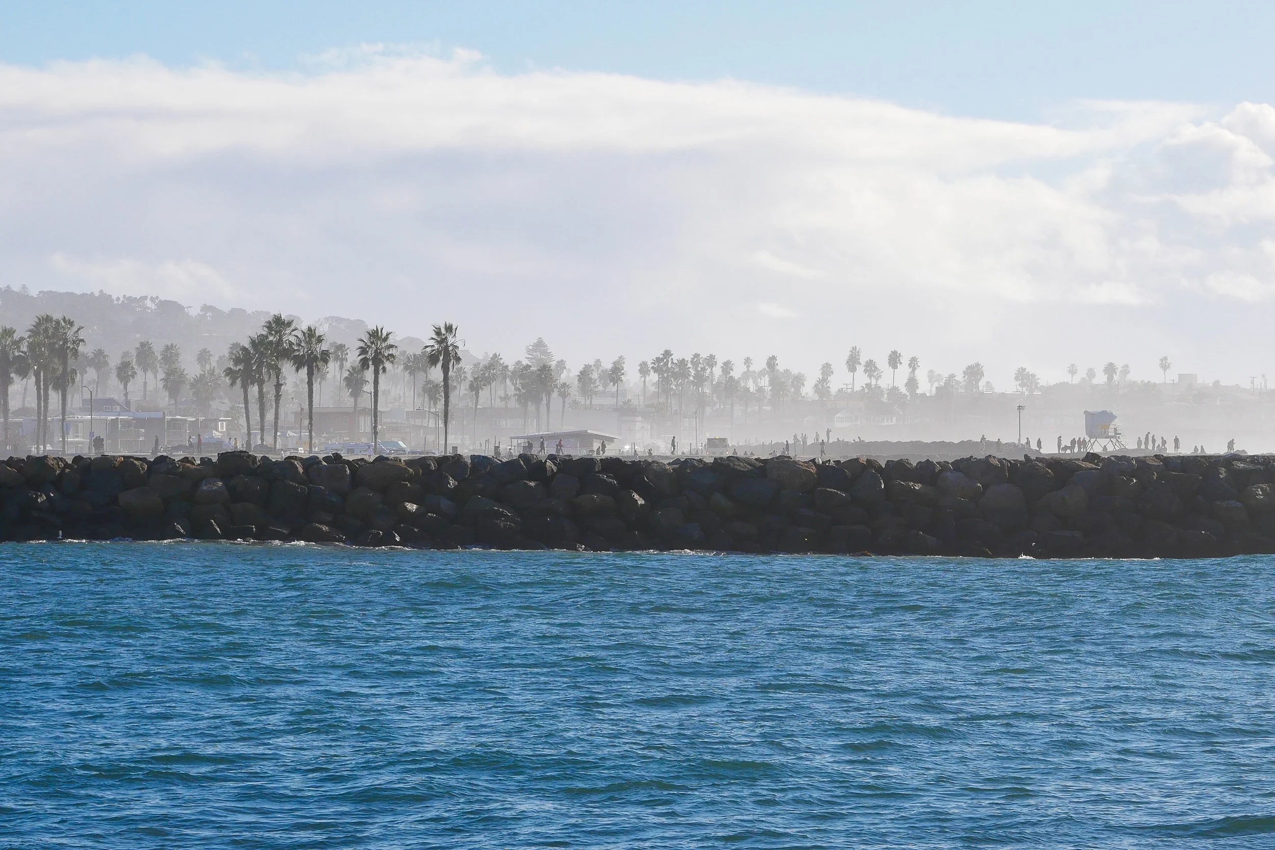 coastal landscape with ocean waves, rocky breakwater, palm trees, and people on shore
