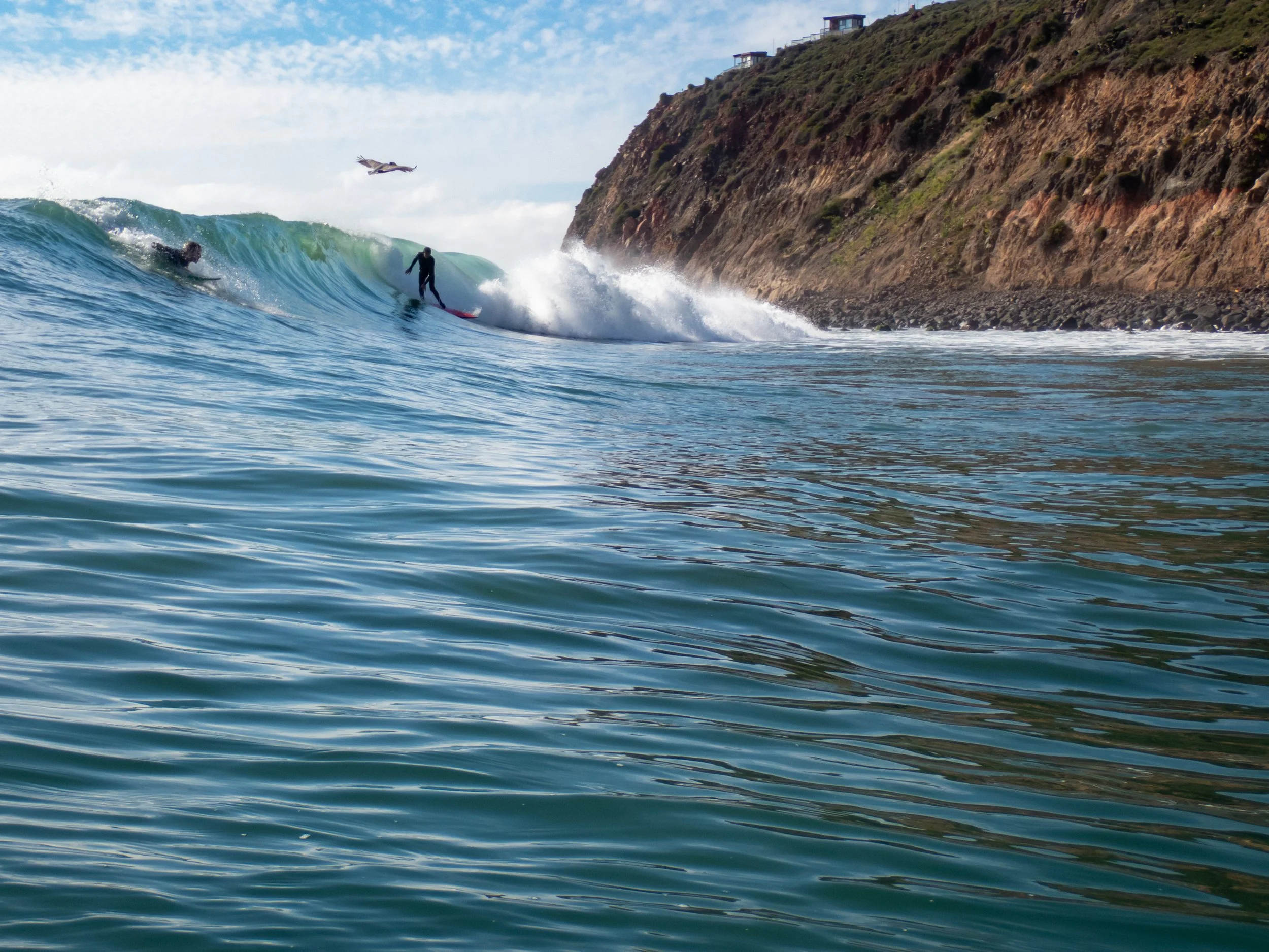 Surfers riding a wave near rocky coastline, with cliffs and buildings in the background and a seagull flying overhead.