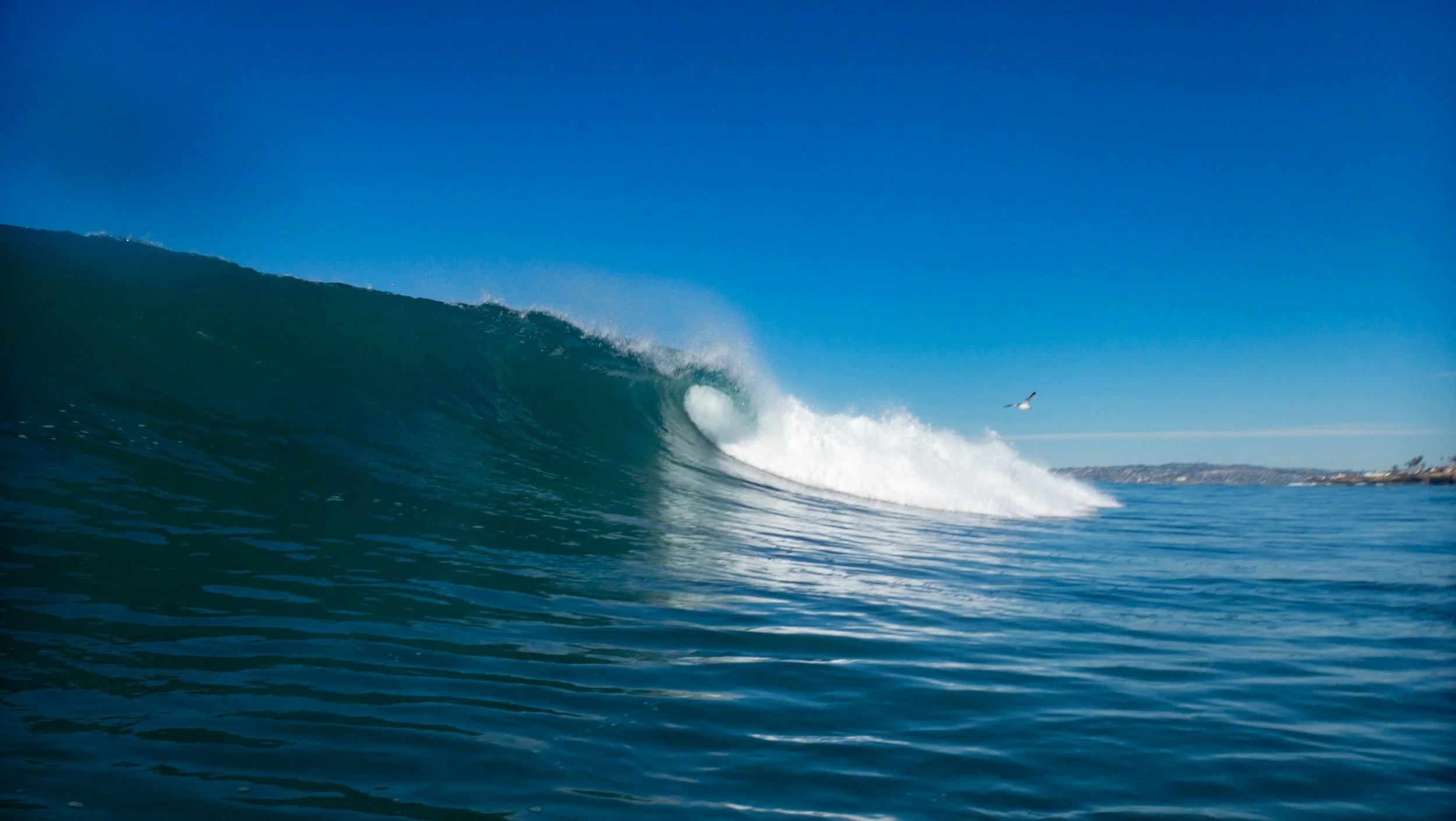 Ocean wave about to break with a bird flying in the clear blue sky, and distant shoreline visible in the background.