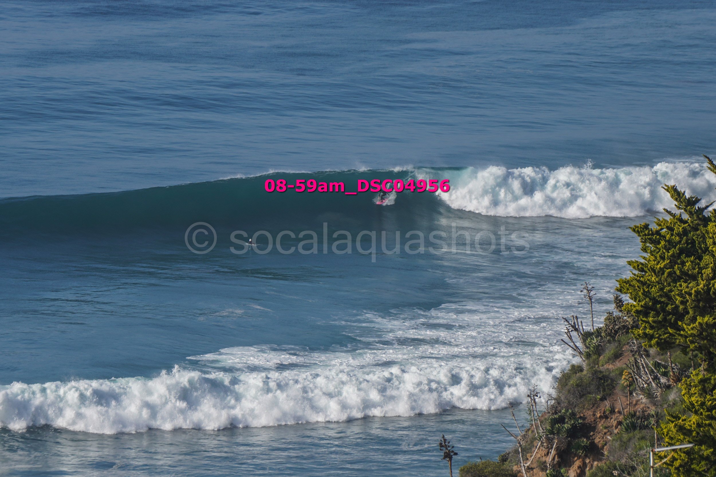 Surfer riding a wave near a rocky shoreline with green trees in the foreground.