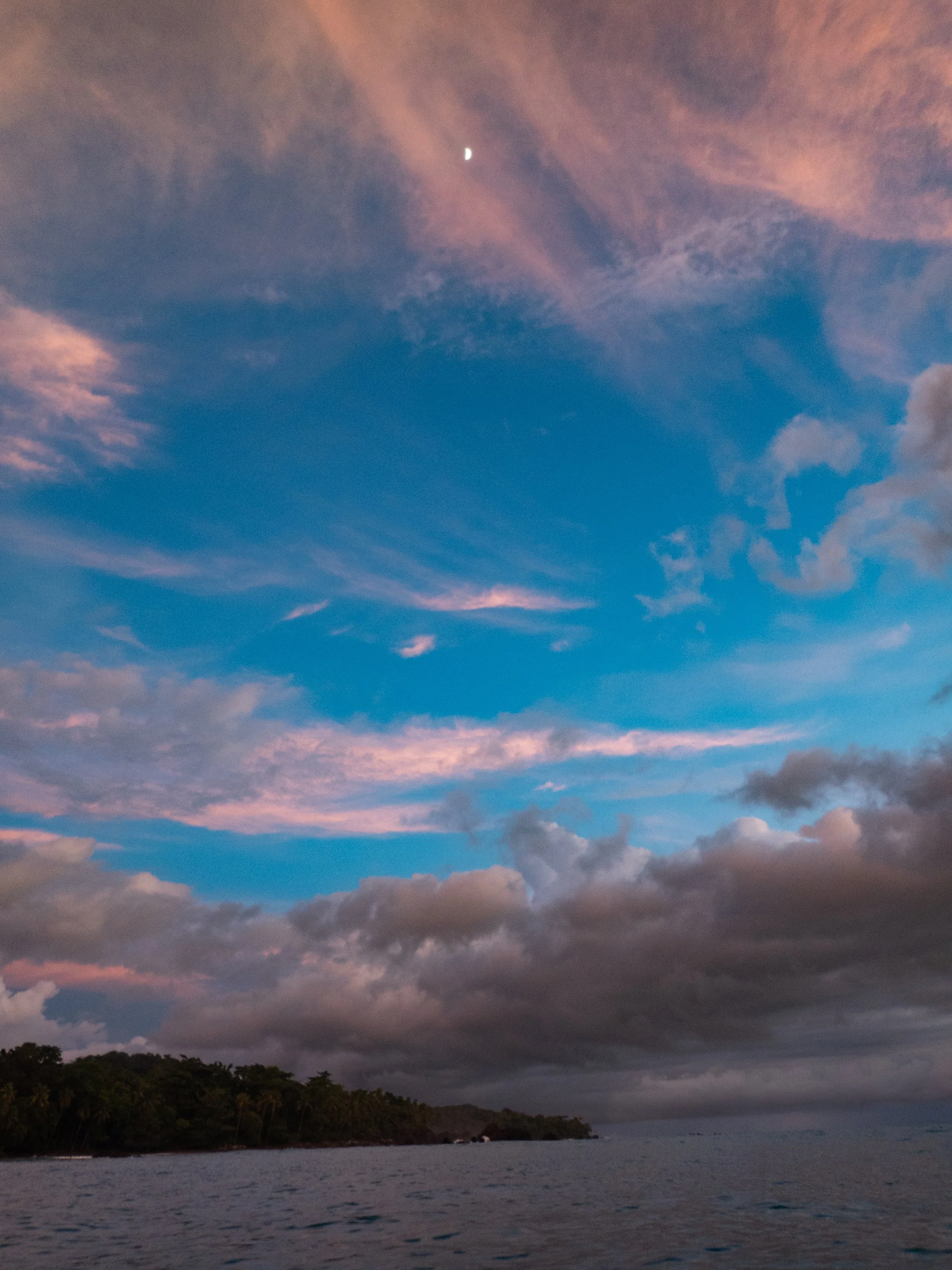 P8192517.jpg