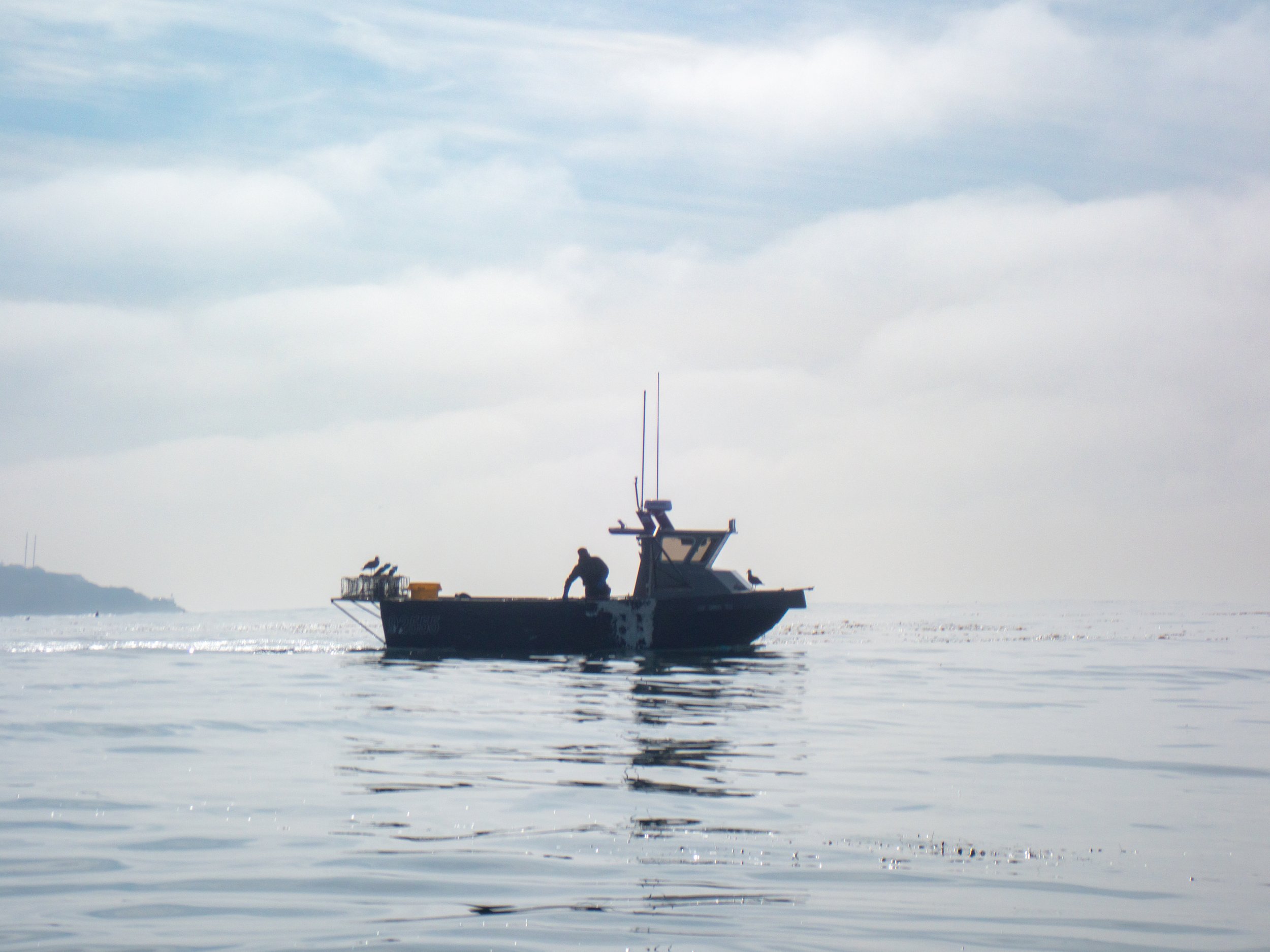 A silhouette of a small boat on calm water with a person on board, set against a cloudy sky and distant shoreline.