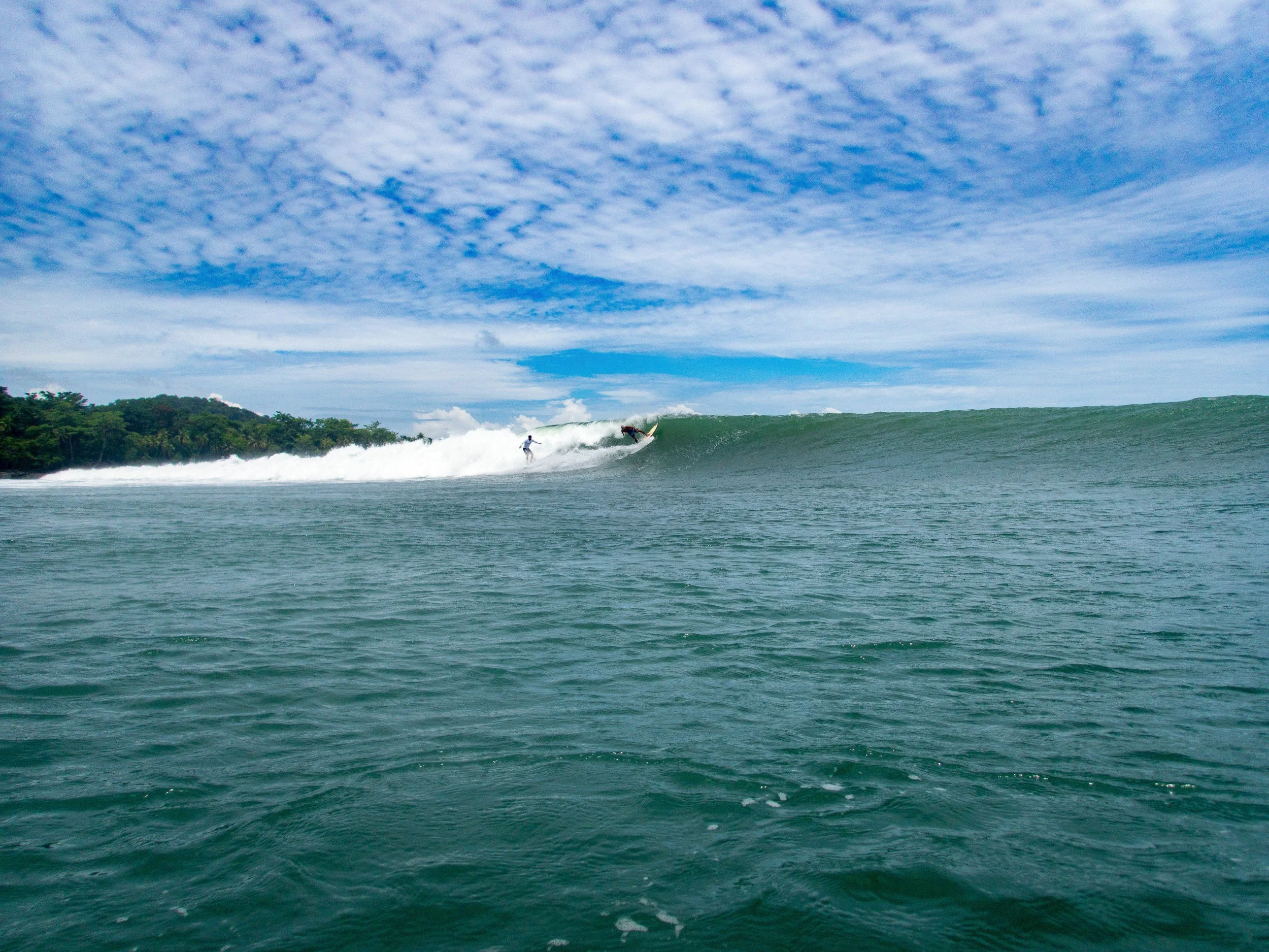 Surfer riding a large wave under a cloudy sky, with trees visible in the background.