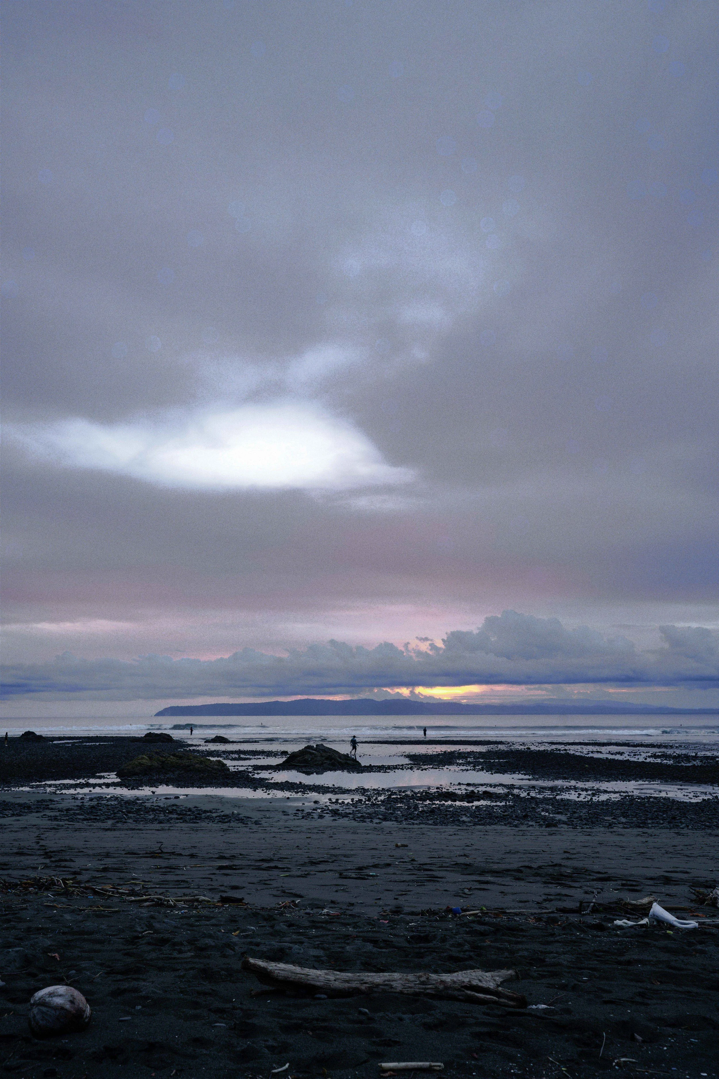 DSC08757.jpg