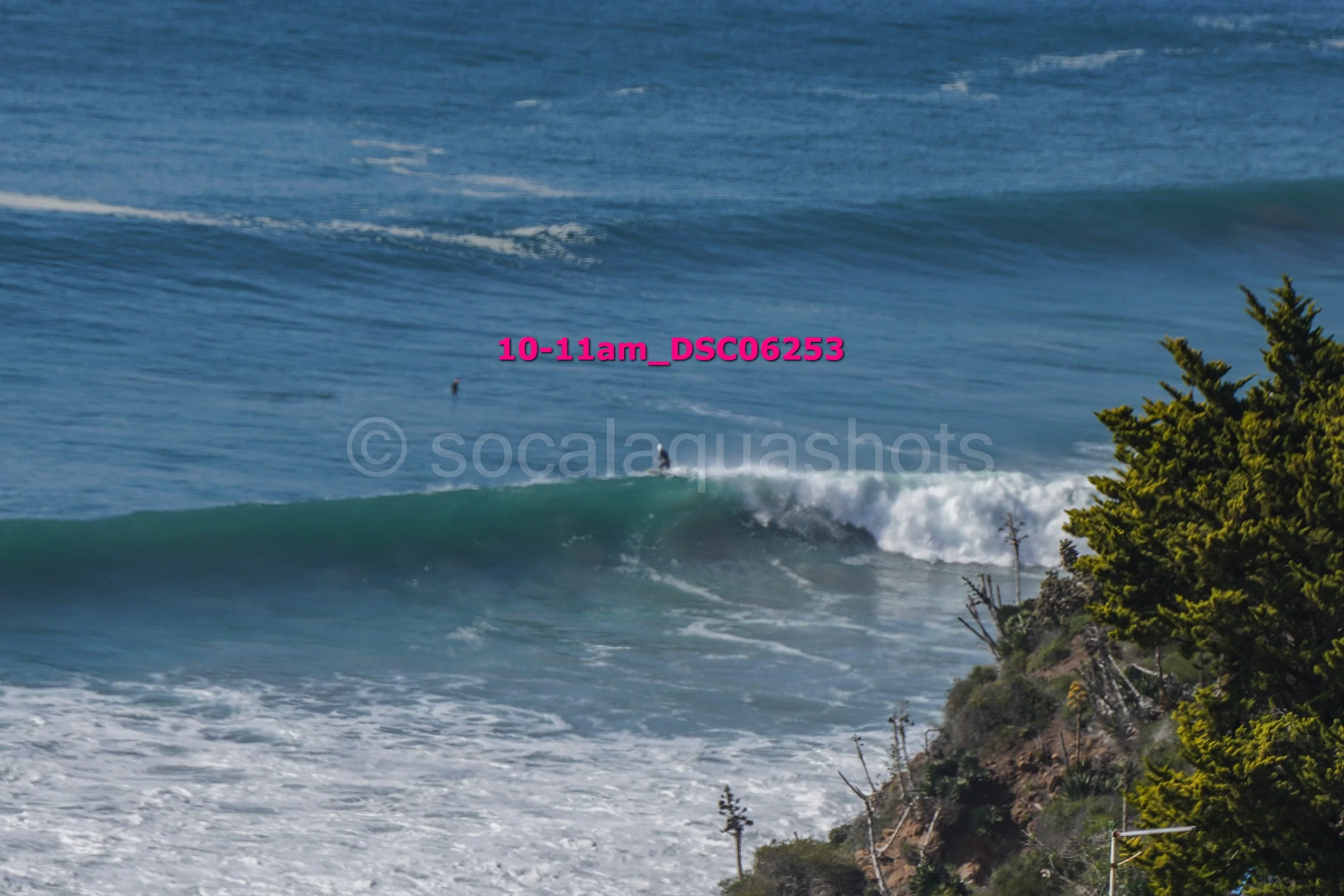 A surfer catching a wave near the rocky shoreline with trees in the foreground.