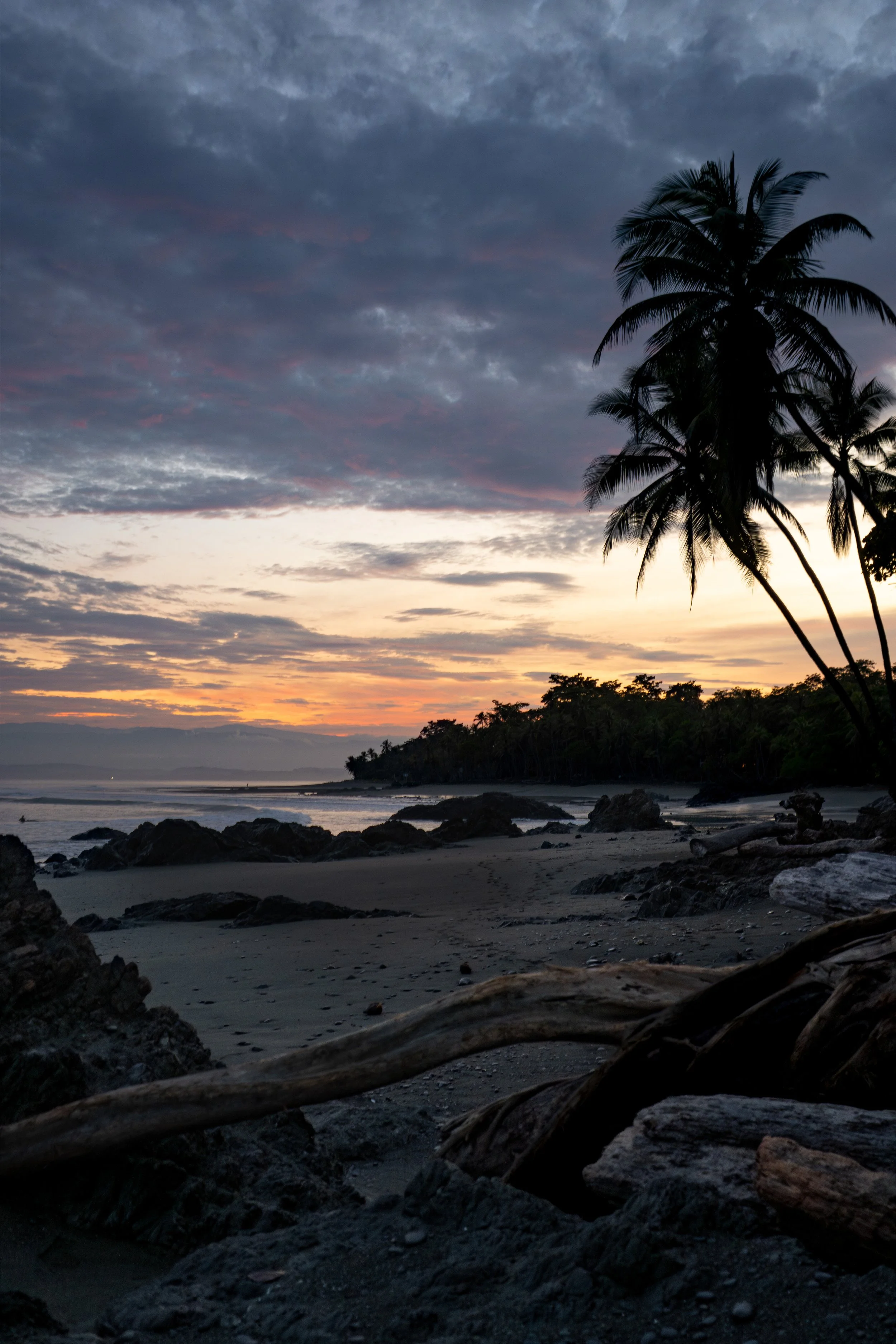 A beach scene during sunset with dark clouds in the sky, palm trees on the right, and rocks and driftwood scattered on the sandy shore.