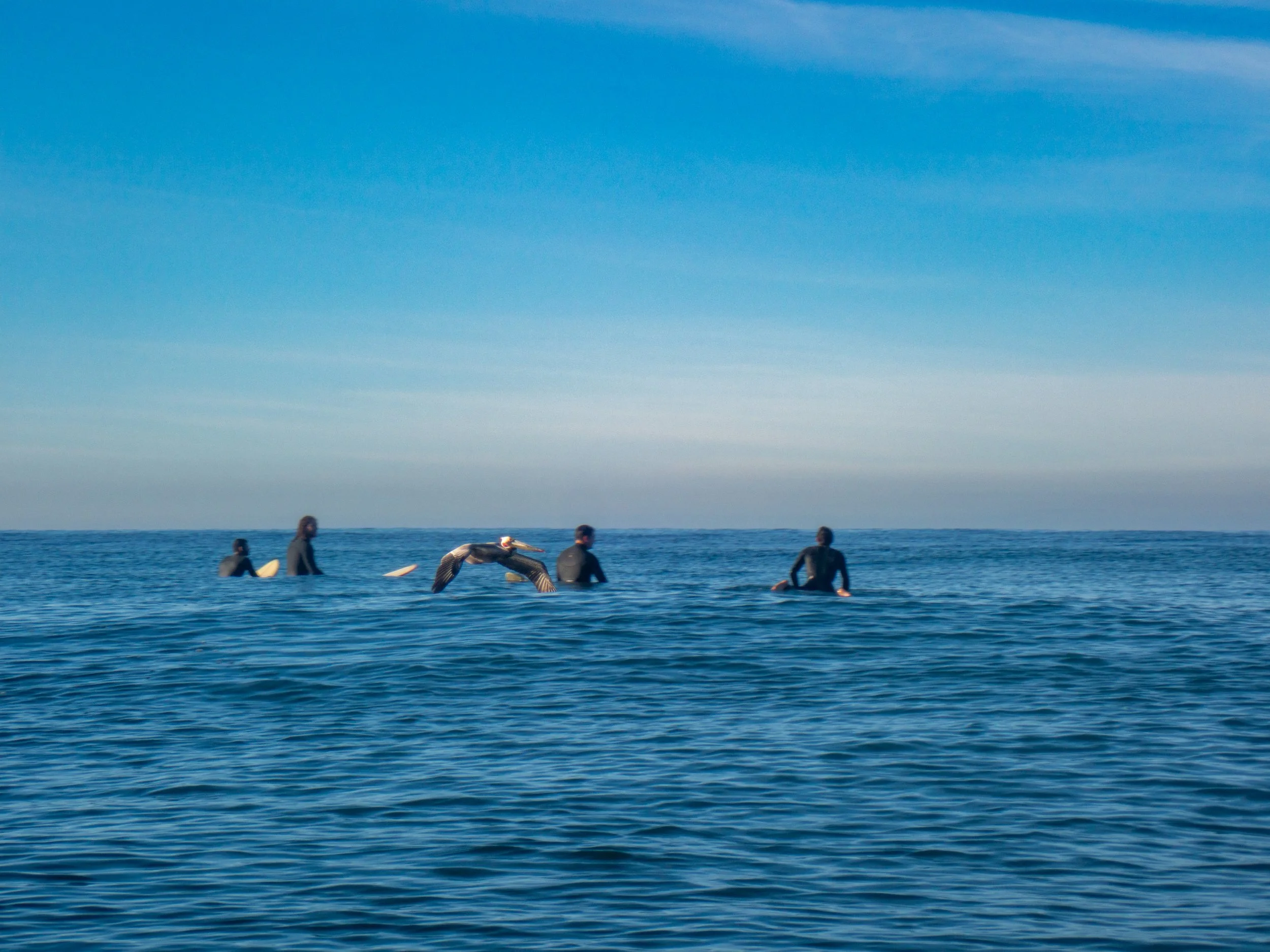 Group of people in wetsuits sitting on surfboards in the ocean under a clear blue sky.