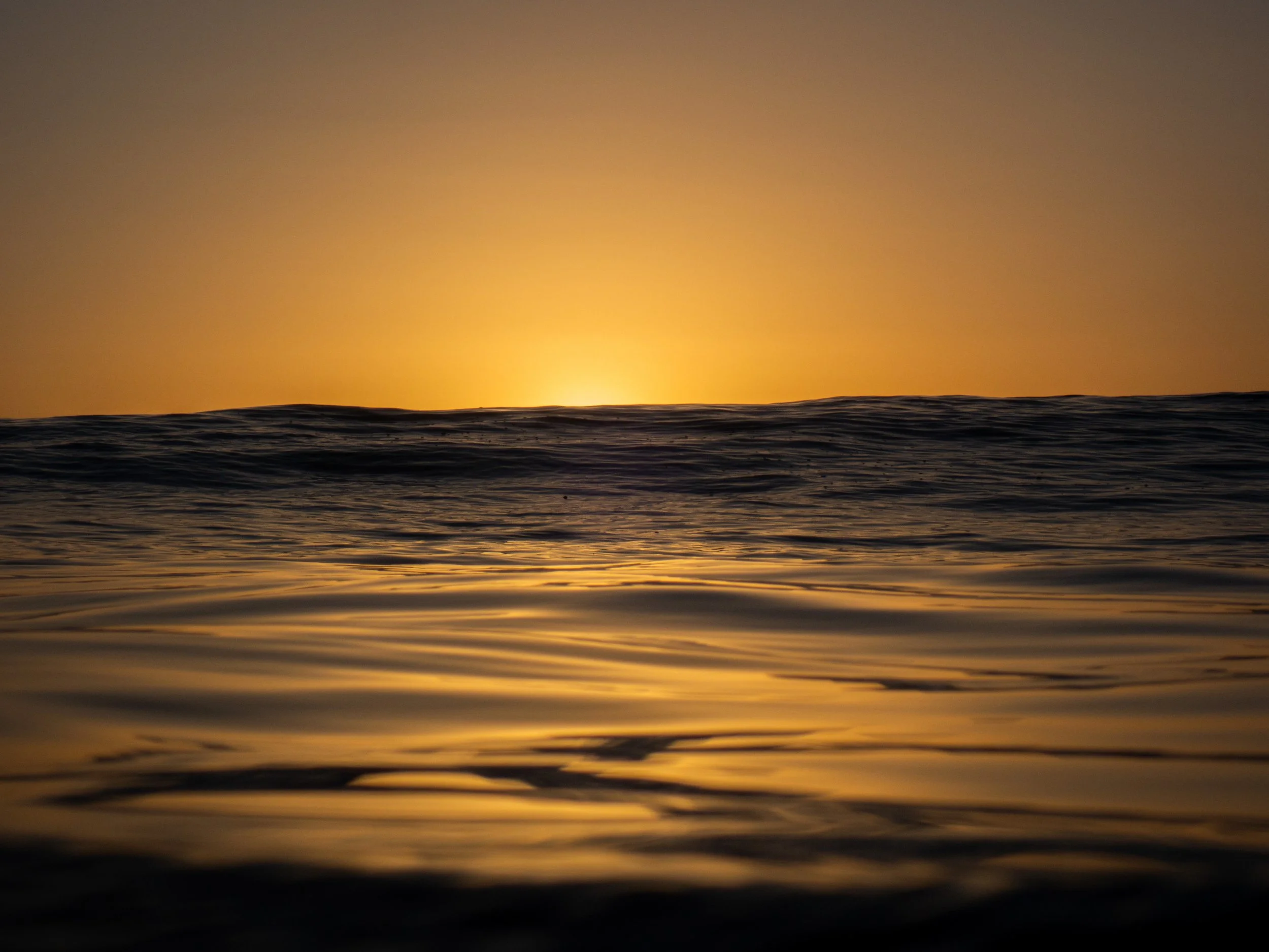 A sunset over calm ocean waters with golden light reflecting on the surface.