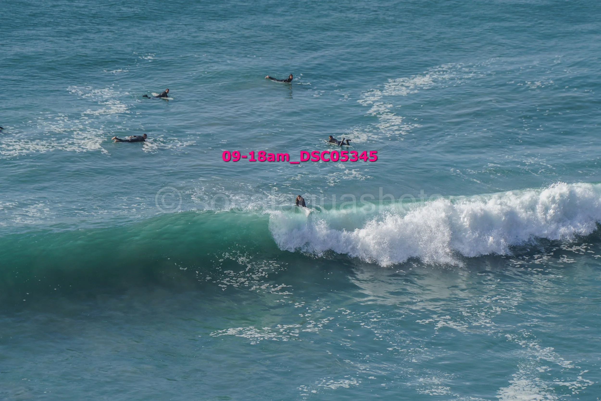 A group of surfers in the water, with one actively riding a wave close to shore.