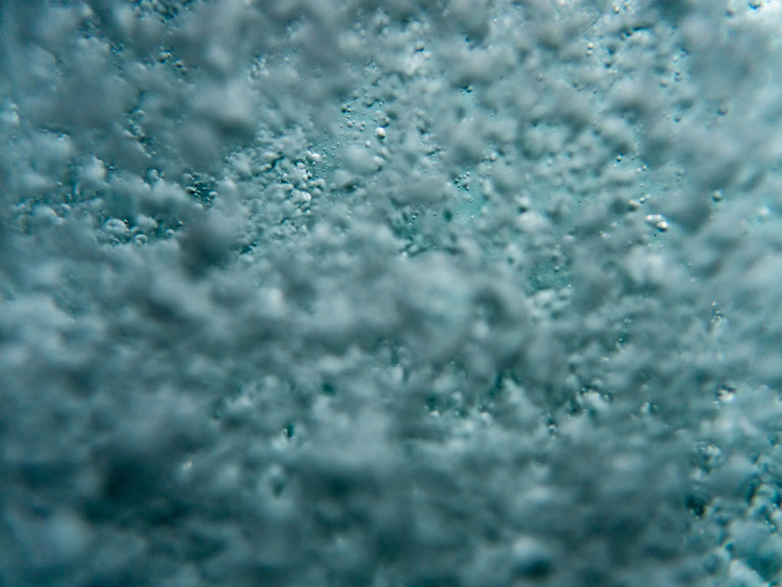 Close-up of a foam or bubbly surface on water.