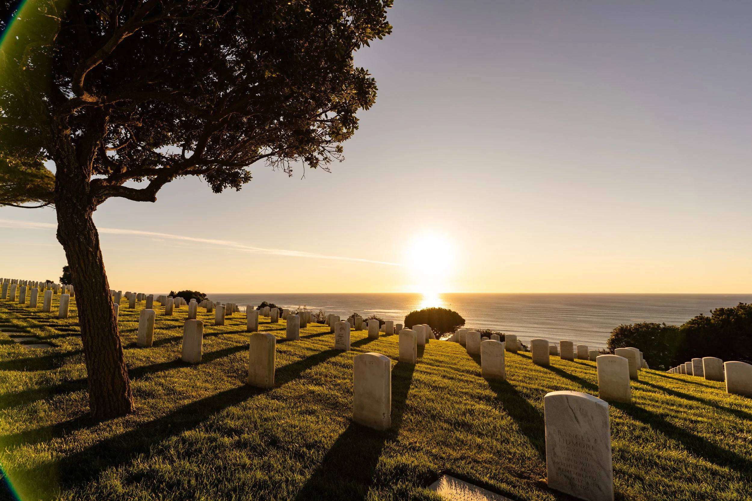 Sunset over a cemetery with white headstones, grassy area, and a large tree in the foreground, overlooking the ocean.