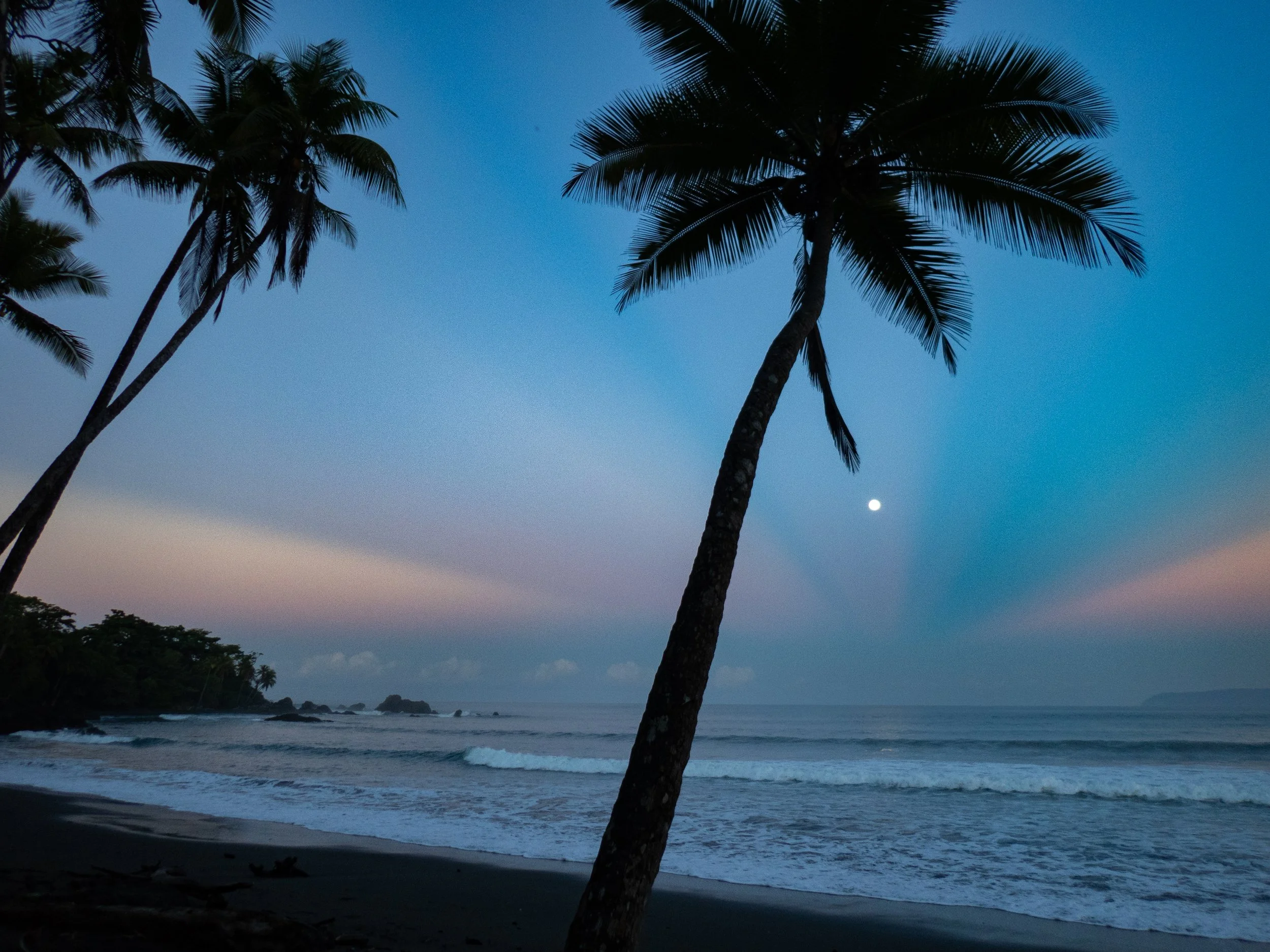 A tropical beach scene at dusk with palm trees, ocean waves, and a visible moon in the sky.