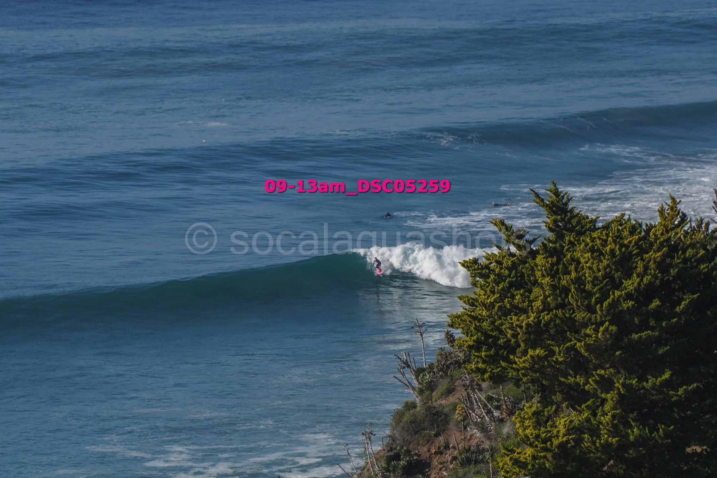 A person surfing on a wave near a rocky coastline with green shrubs in the foreground.
