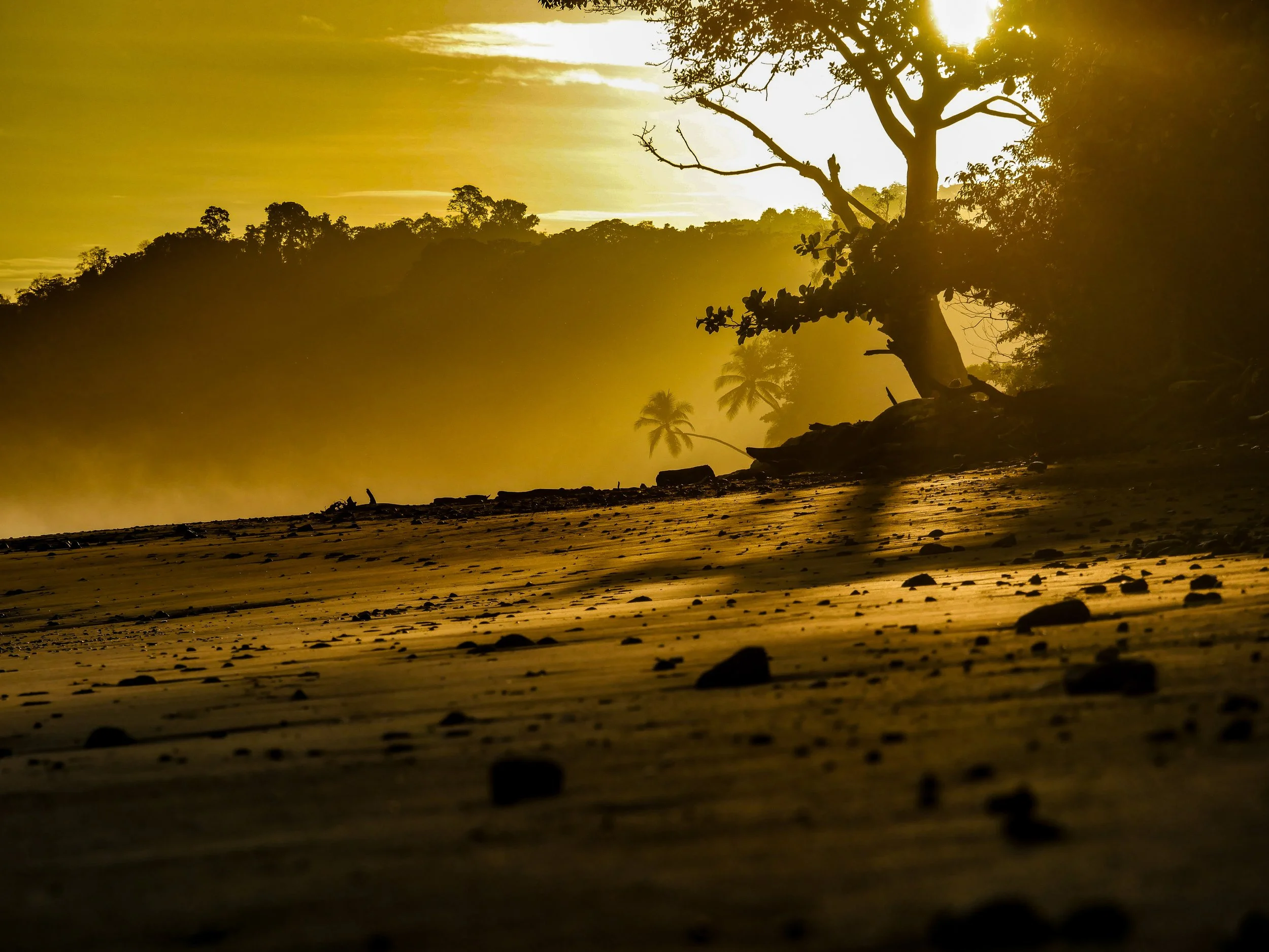 Golden Sunrise in Rancho Mar - 5k Wallpaper by socalaquashots.jpg