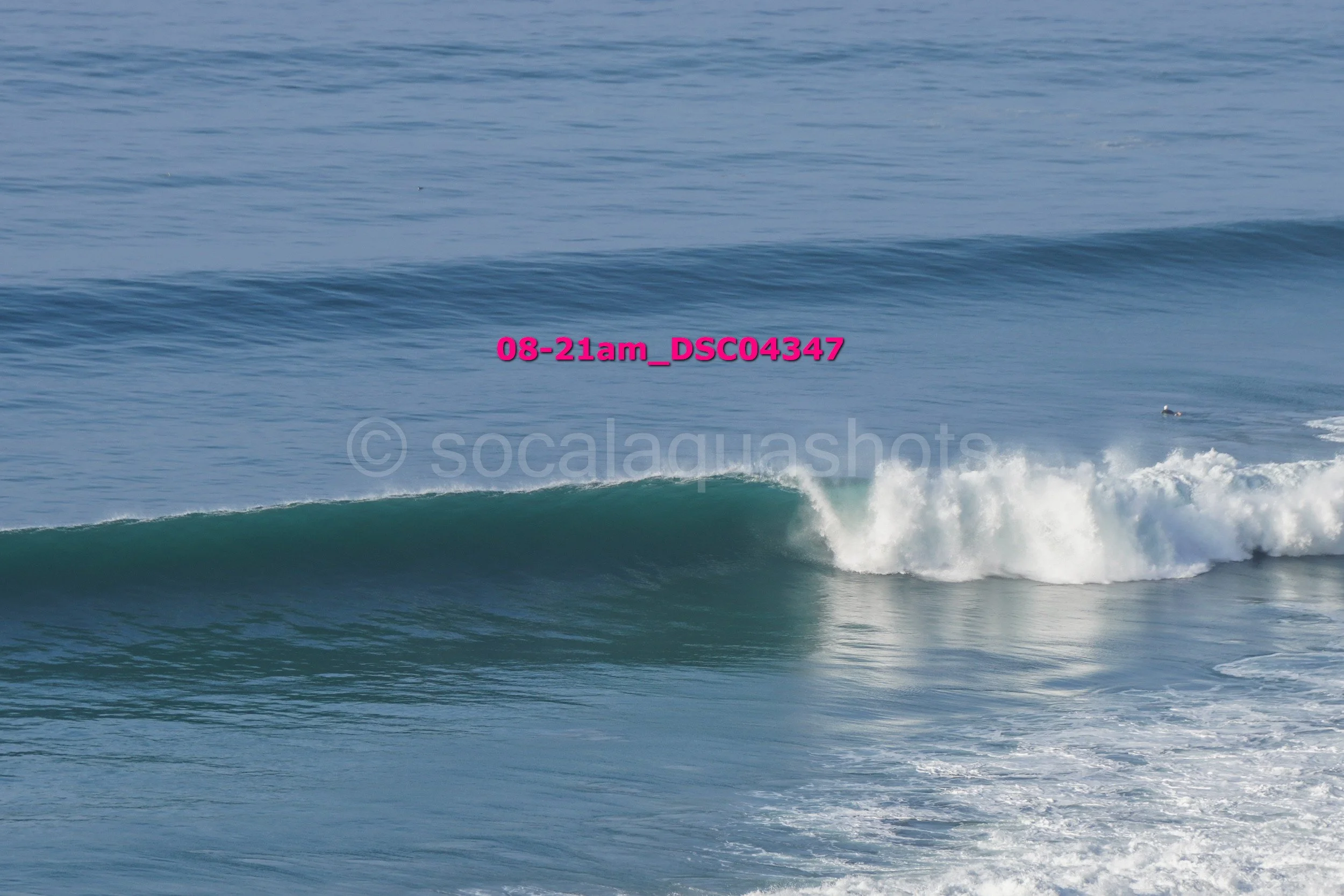 Ocean wave breaking with white foam, deep blue water, and a distant seagull.
