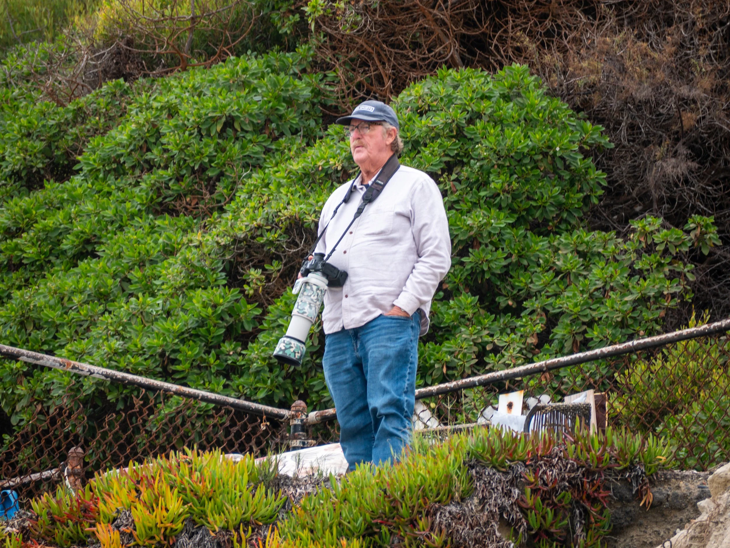 An older man with gray hair wearing a light-colored shirt, blue jeans, and a cap, stands on a rocky area with green plants in the foreground and shrubbery behind. He has a camera with a large lens hanging around his neck.
