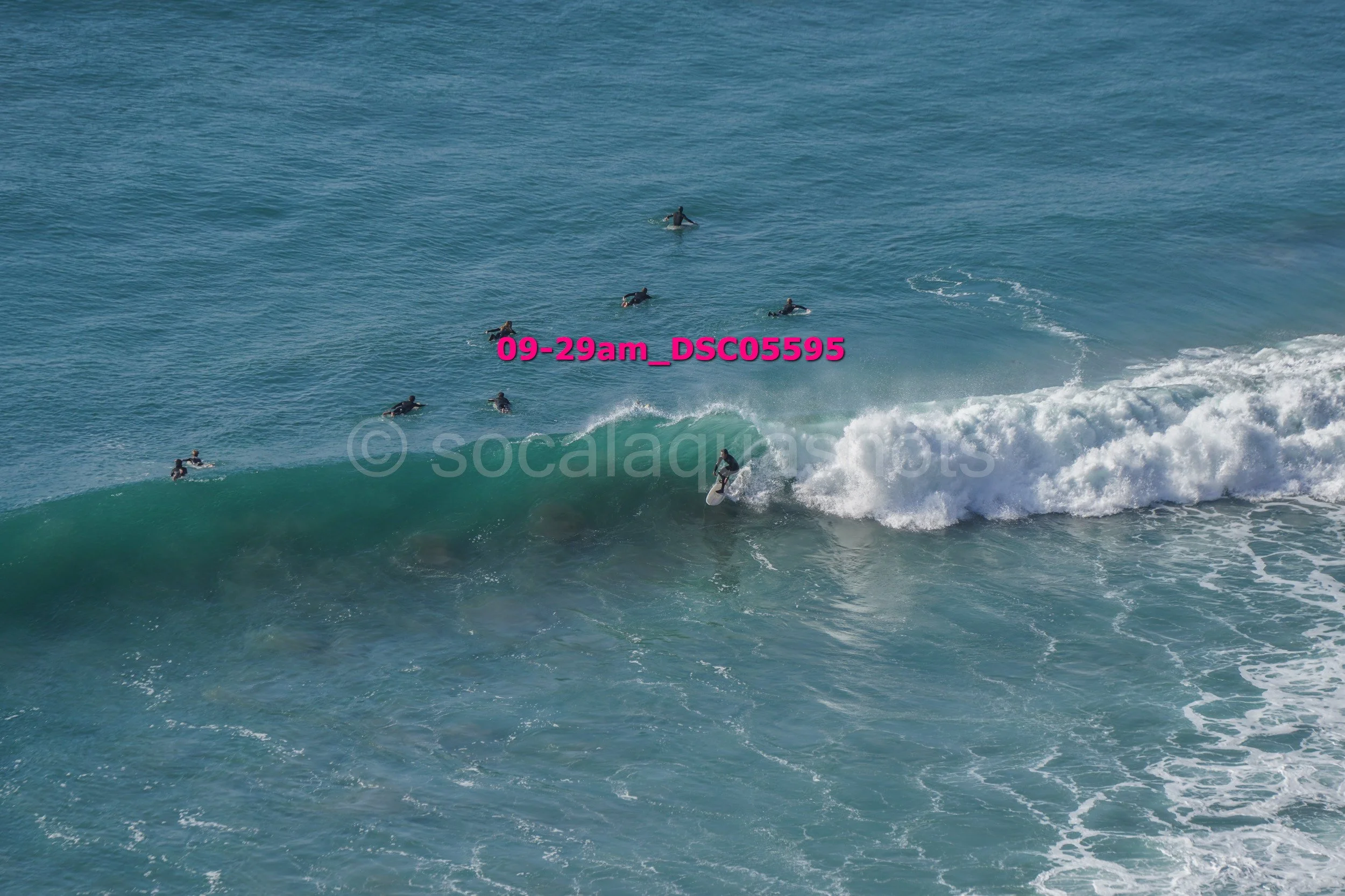 Surfer riding a wave while several surfers wait in the water in the background.