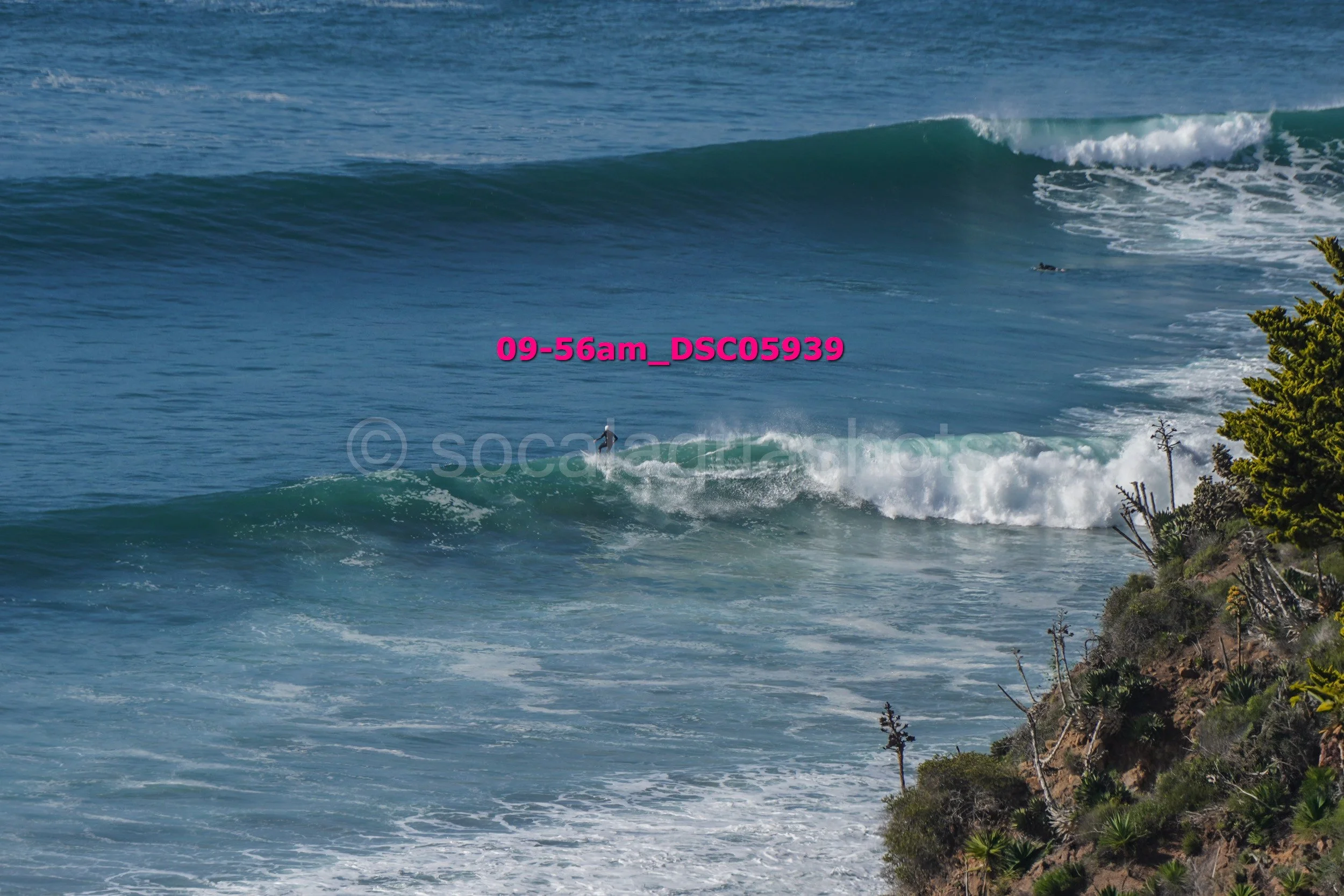 Ocean waves crashing near a rocky shoreline with some vegetation, including small trees and bushes.