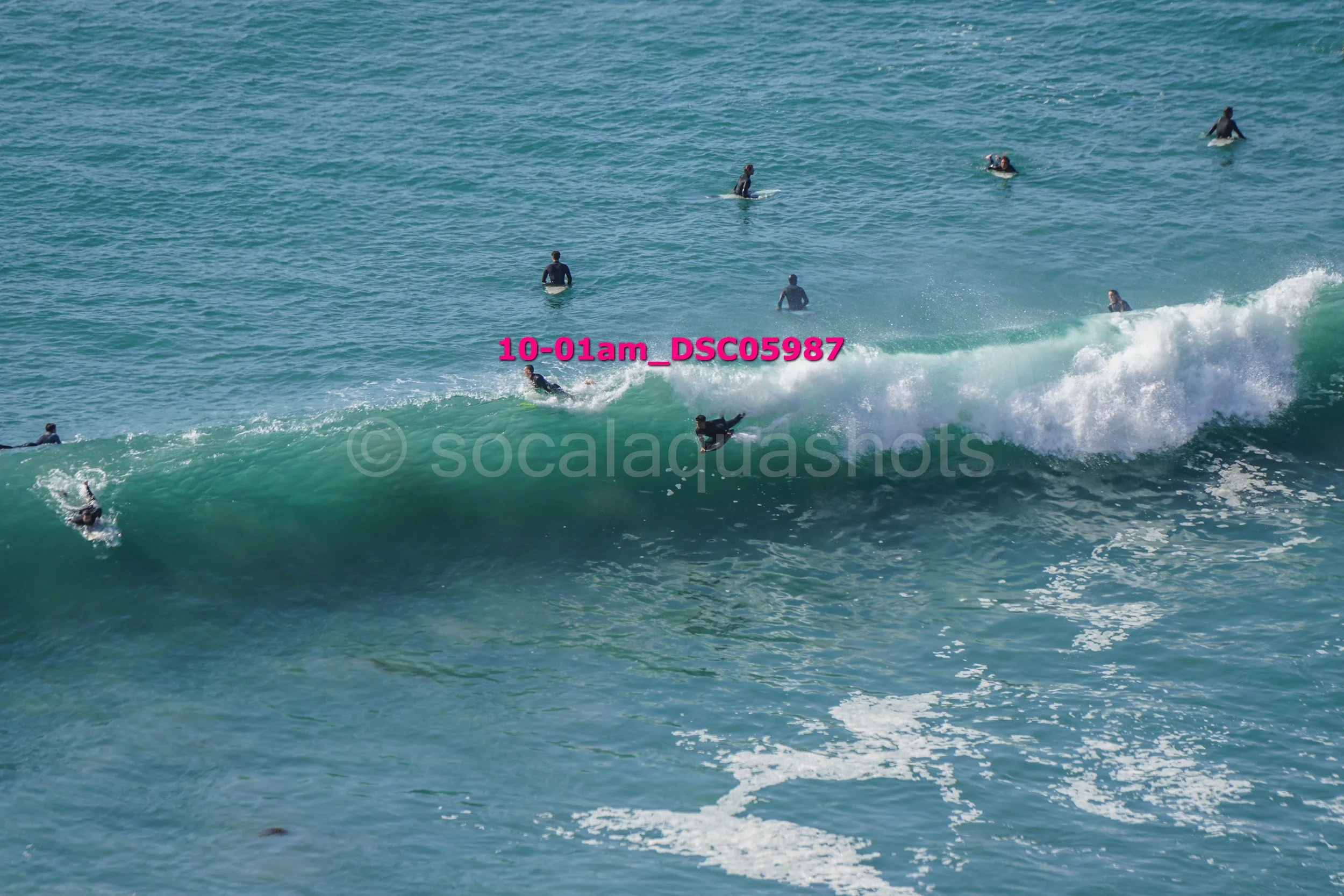 A group of surfers in the ocean, with some riding a wave and others waiting in the water.