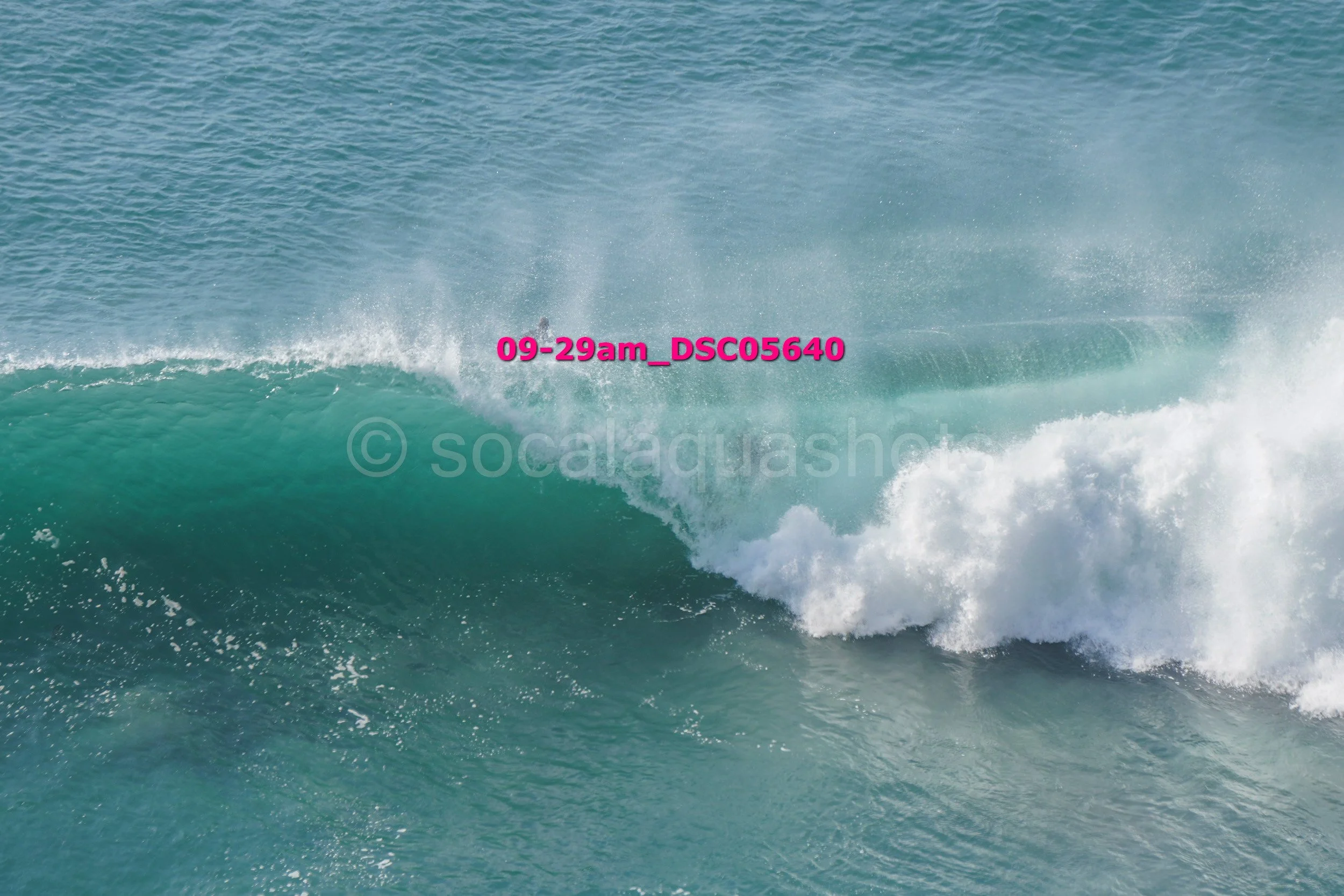 Ocean wave with surf spray and water in shades of blue and green.