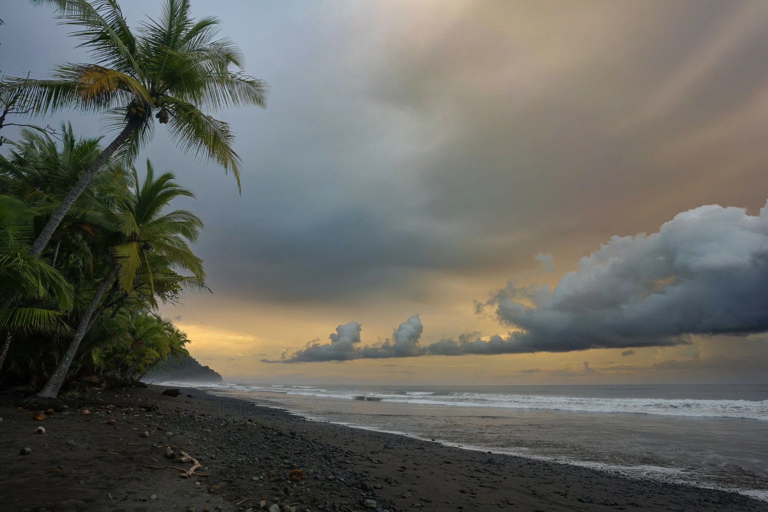A beach scene at sunset featuring dark sand, scattered coconuts, palm trees on the left, and cloudy sky with some sunlight breaking through on the right.