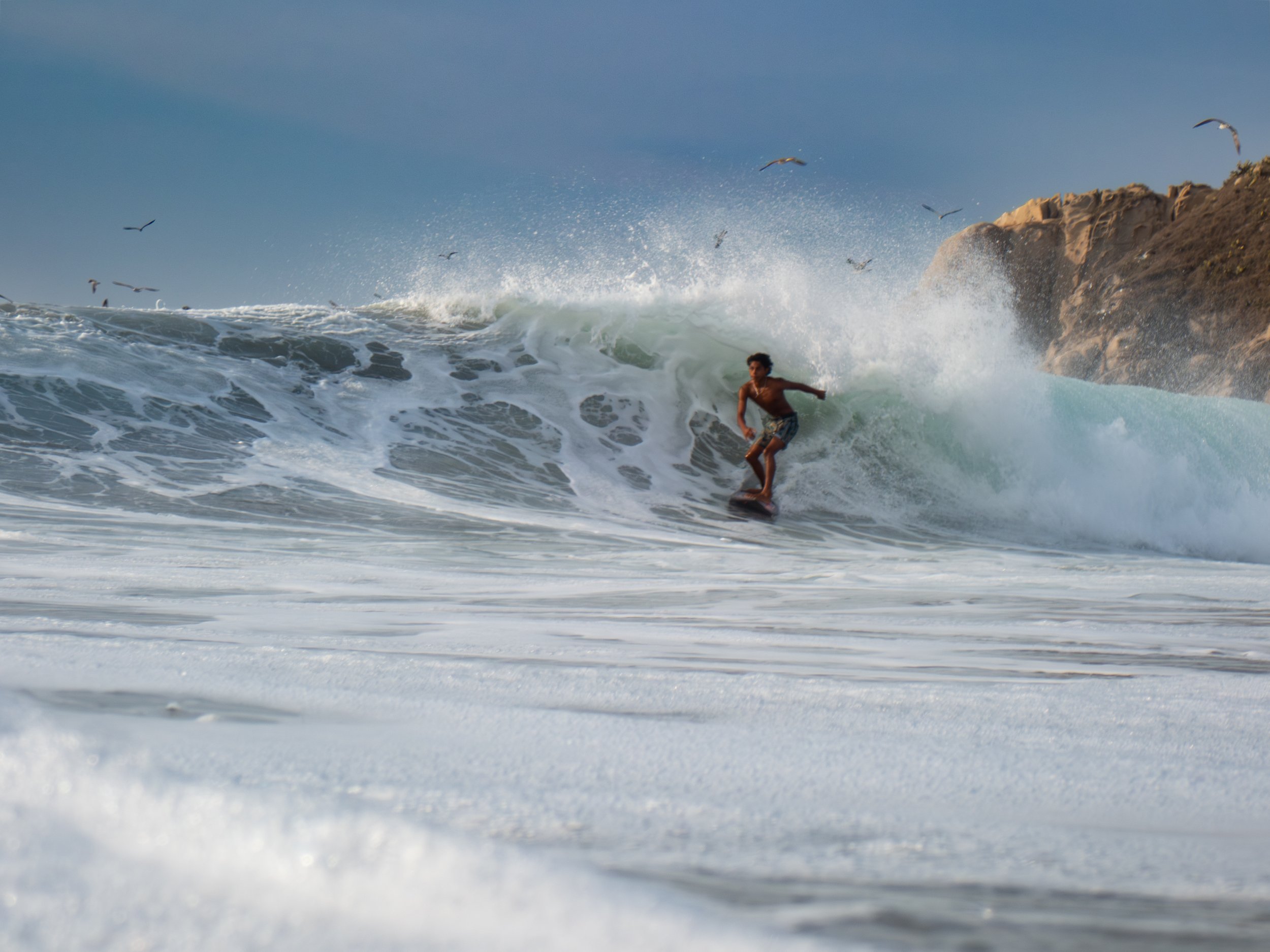 A surfer riding a wave near the rocky shoreline with seagulls flying in the sky.