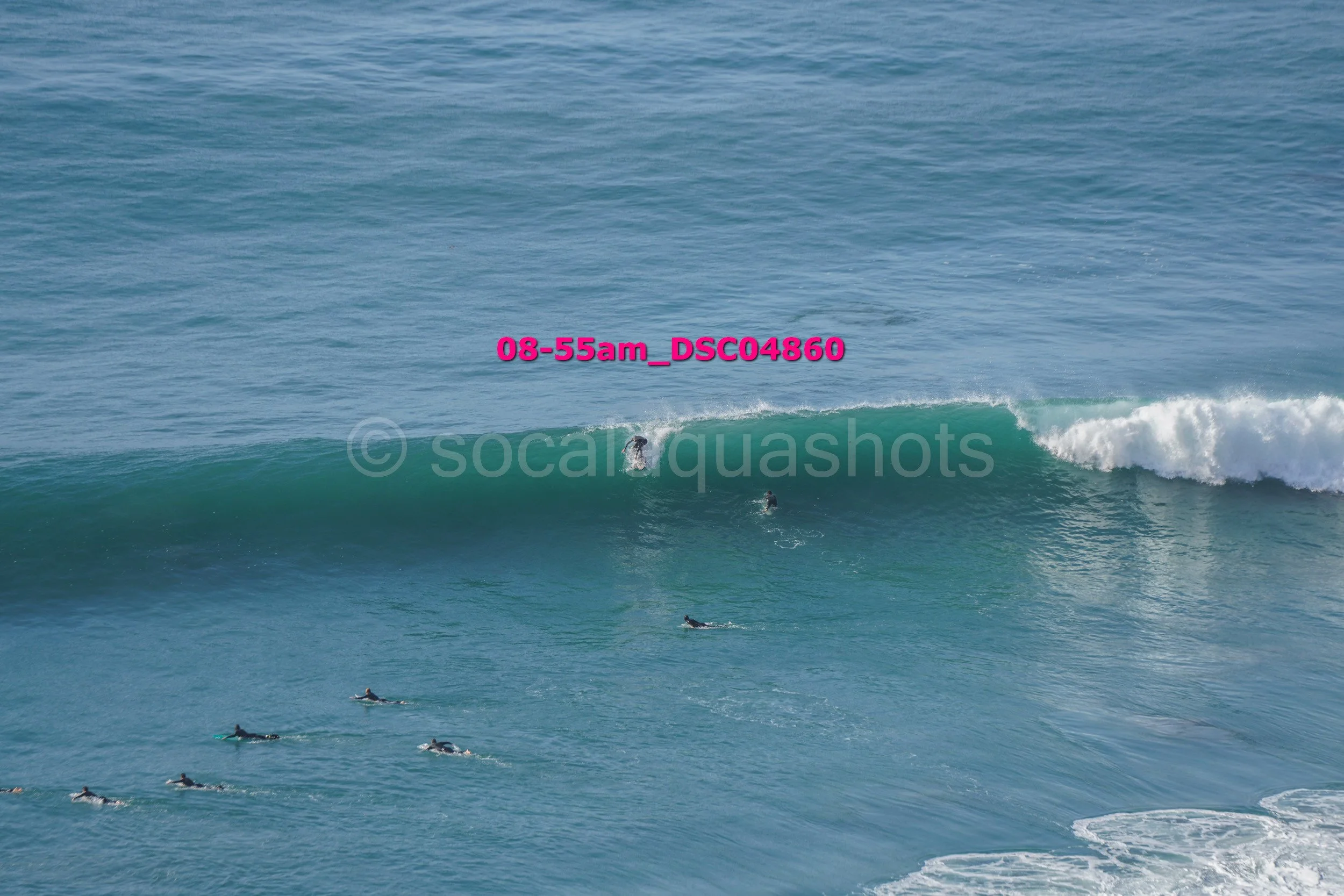 Surfers waiting in the ocean for a wave as one surfer rides a large wave, with others paddling on their boards nearby.