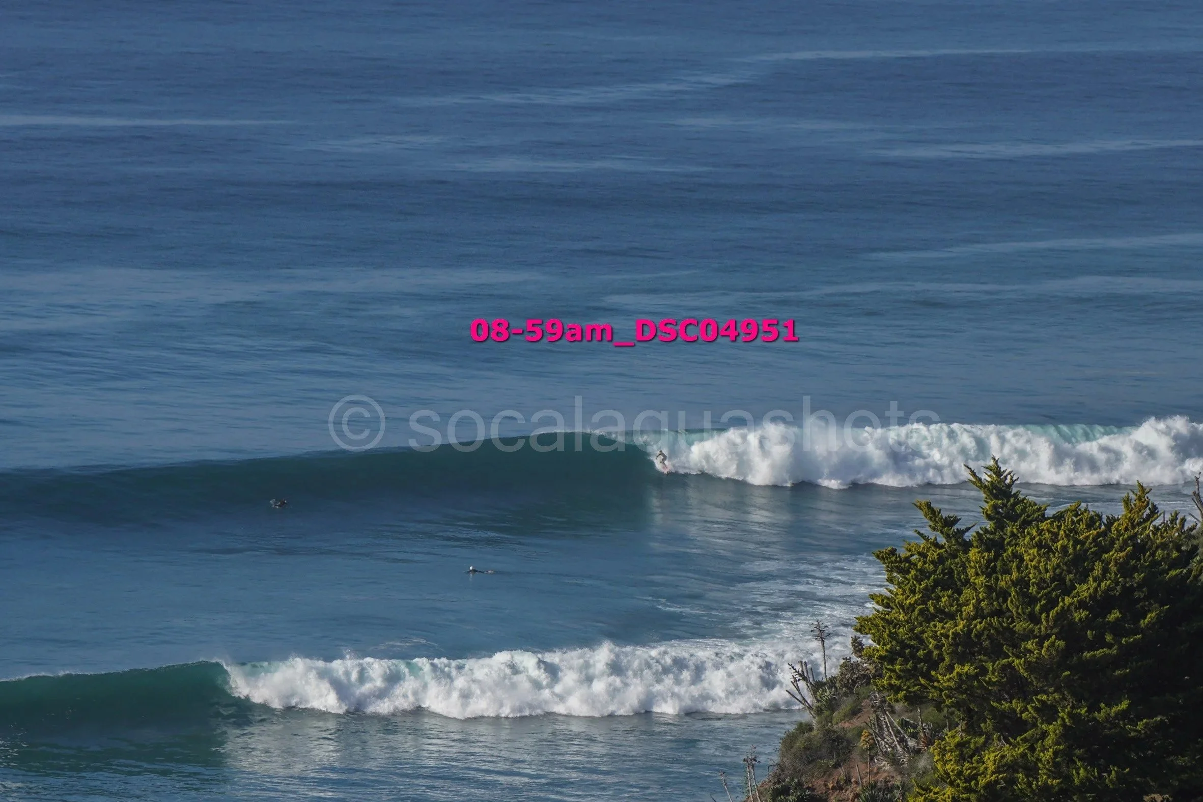Photo of ocean waves with surfers, some surfers on boards riding the waves, and green shrubbery in the foreground.