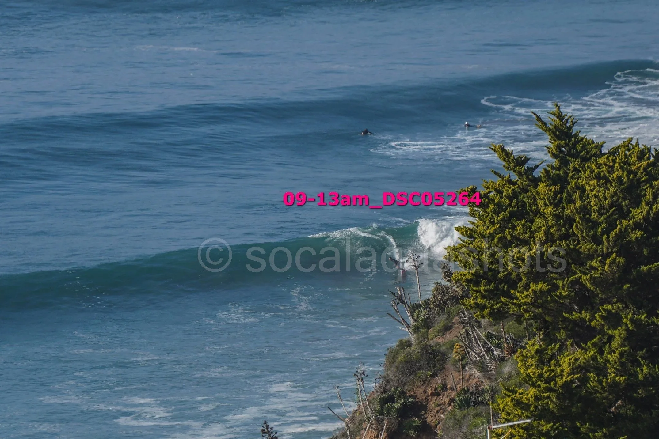 Ocean waves crashing near a rocky shoreline with evergreen trees in the foreground.