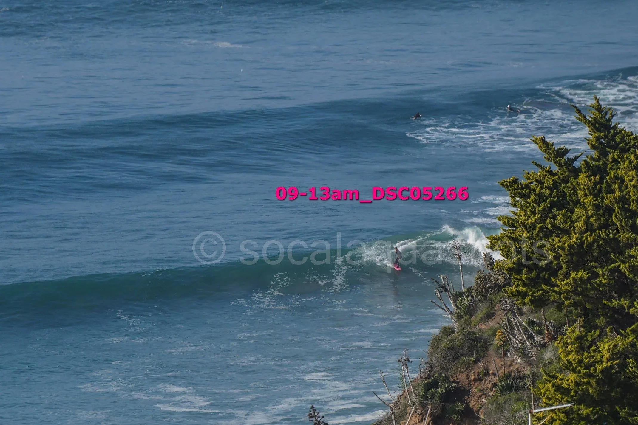 A coastal scene with a person surfing a wave near the rocky shoreline and green trees on the right, under a clear blue sky.