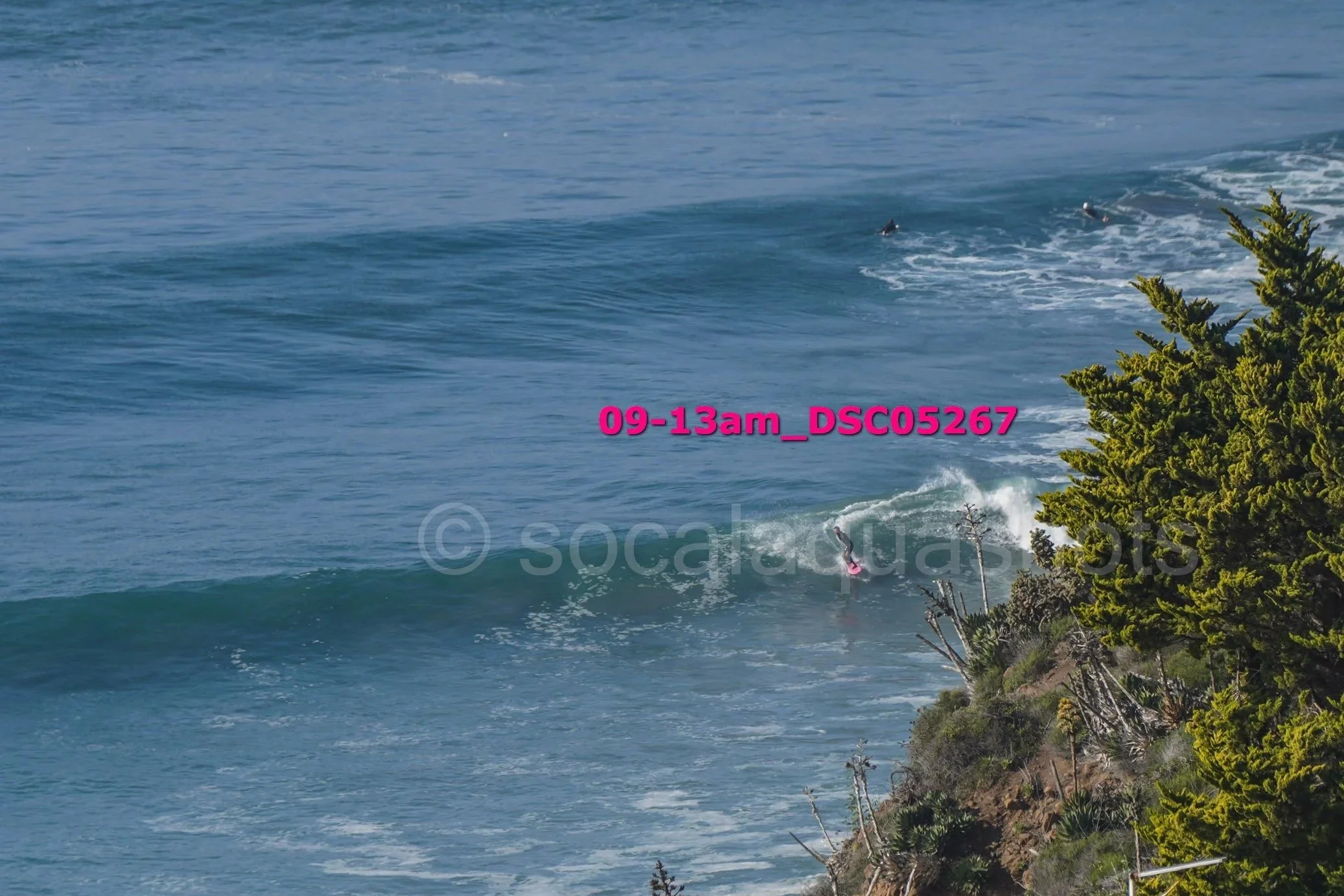 A person surfing a wave near a rocky shoreline with green trees.
