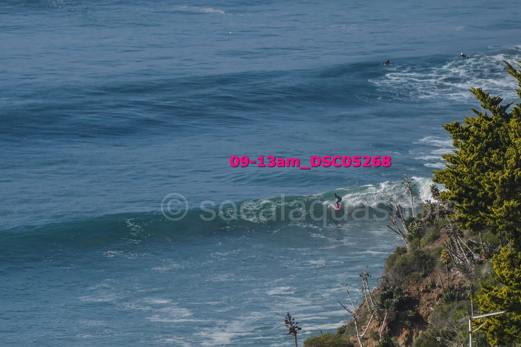A person surfing on a small wave near a rocky coastline with green trees.