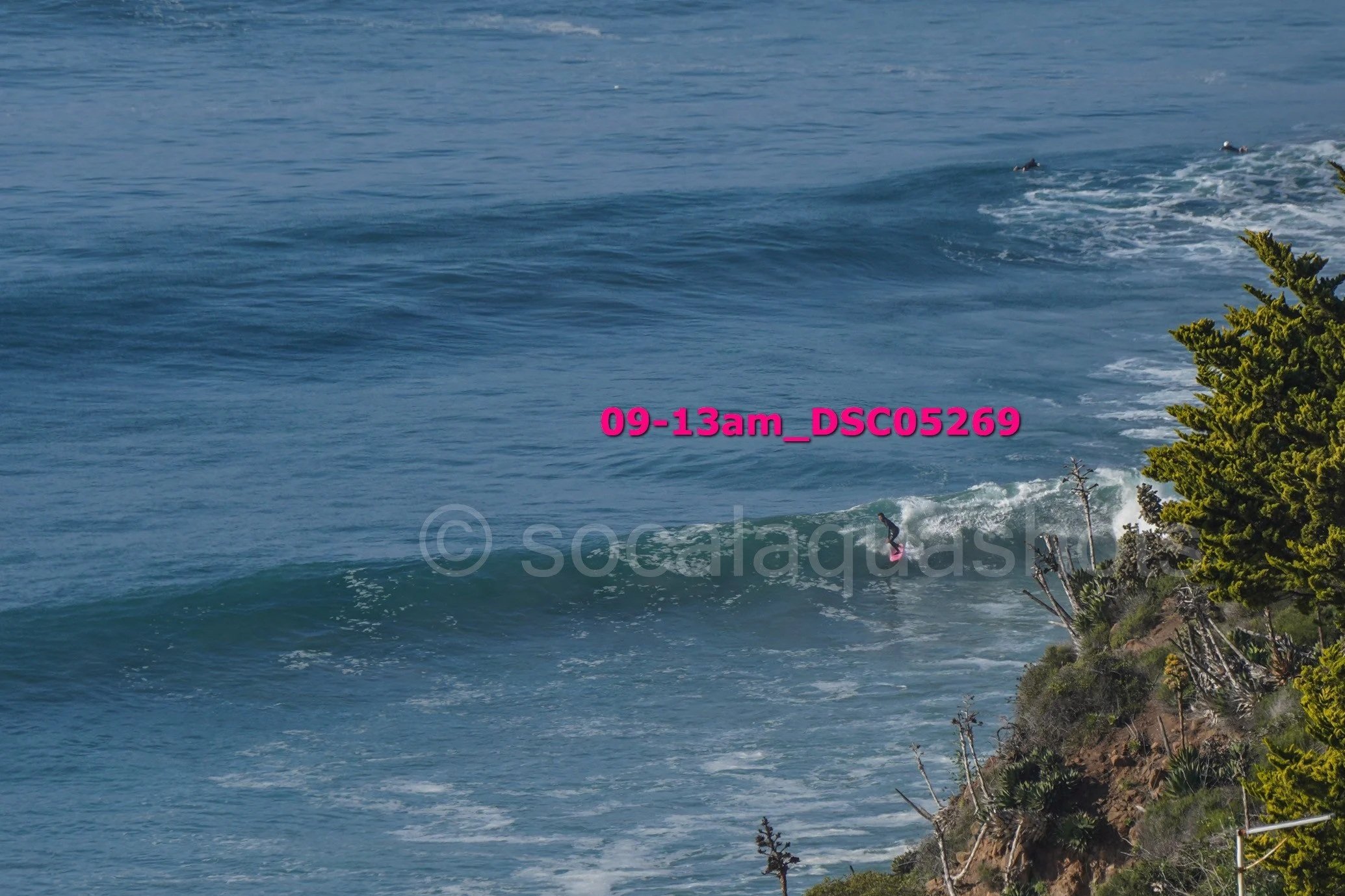 Person surfing on a wave near the rocky shoreline with trees, under a clear sky.