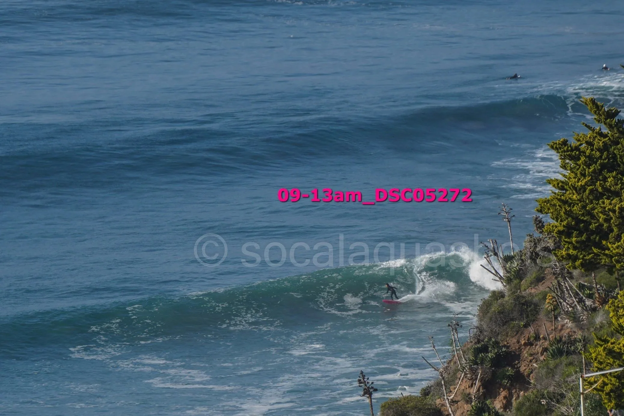 A surfer riding a wave near a coastline with greenery and trees.