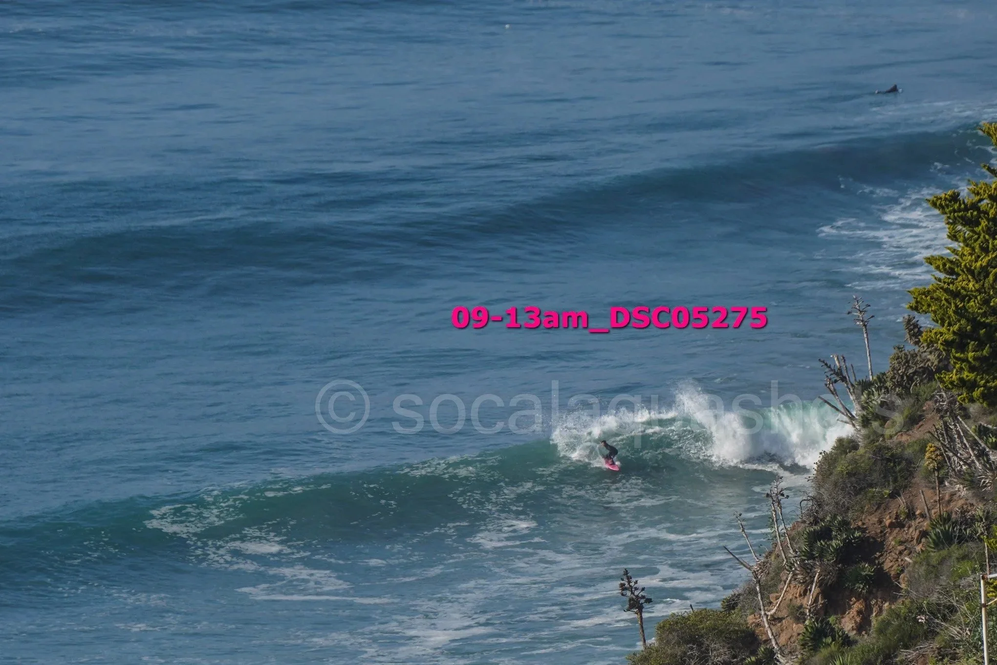 Surfer riding a wave near a rocky coastline with trees, ocean, and distant water in the background.