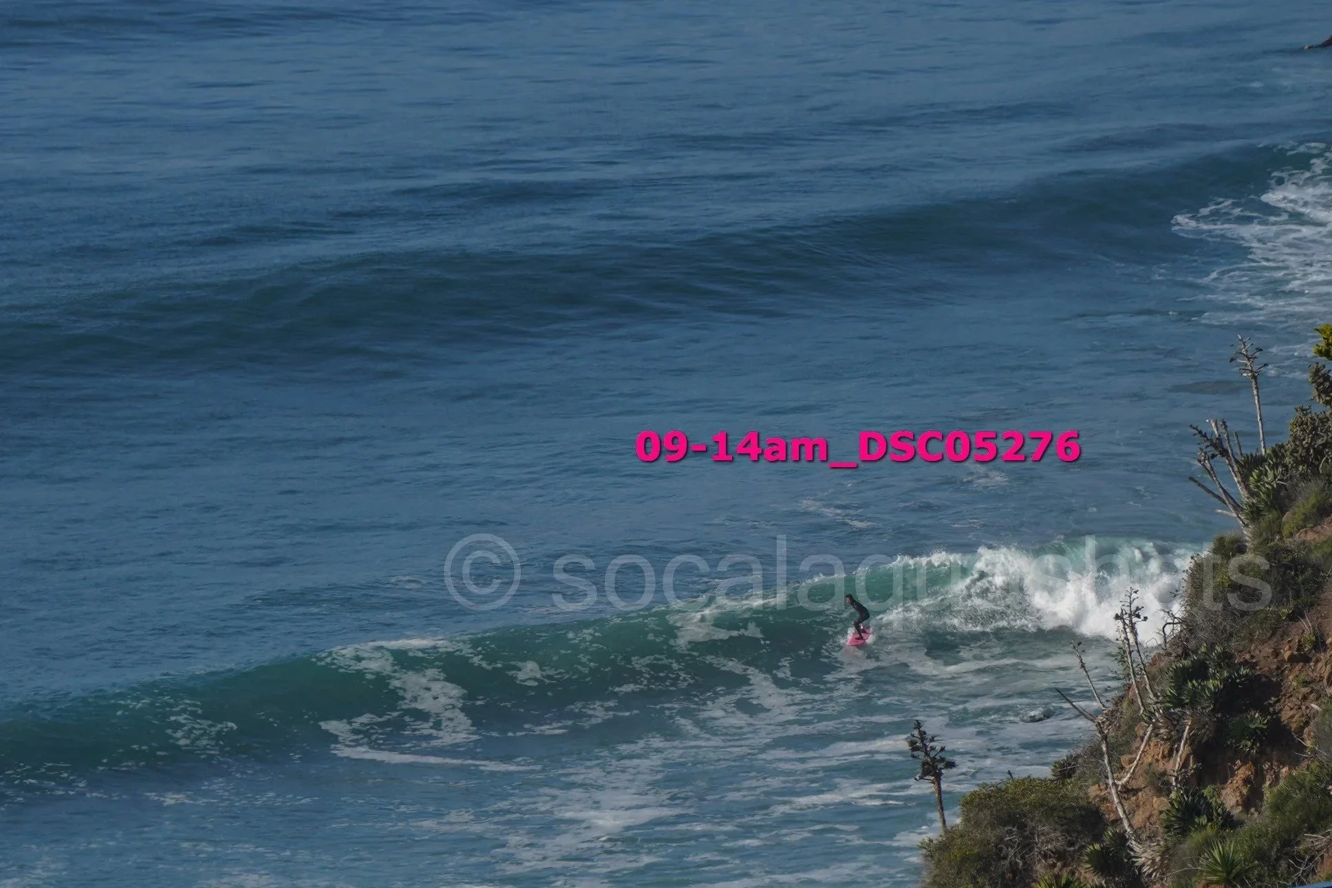 A person surfing on a pink surfboard in the ocean near a rocky shoreline with plants, with a timestamp overlay of 09-14am.