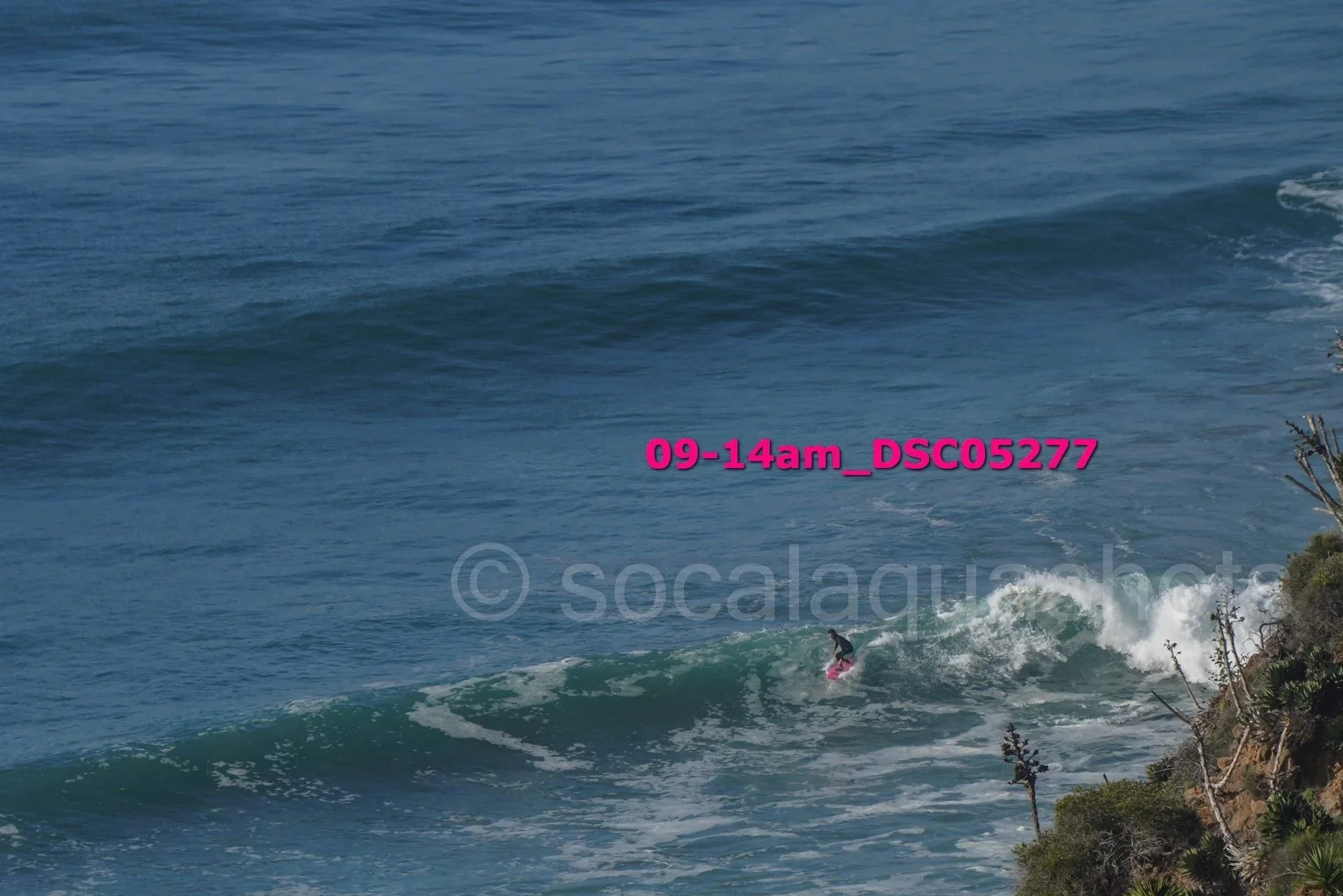 A person surfing on a pink surfboard on a wave near some rocks and vegetation.