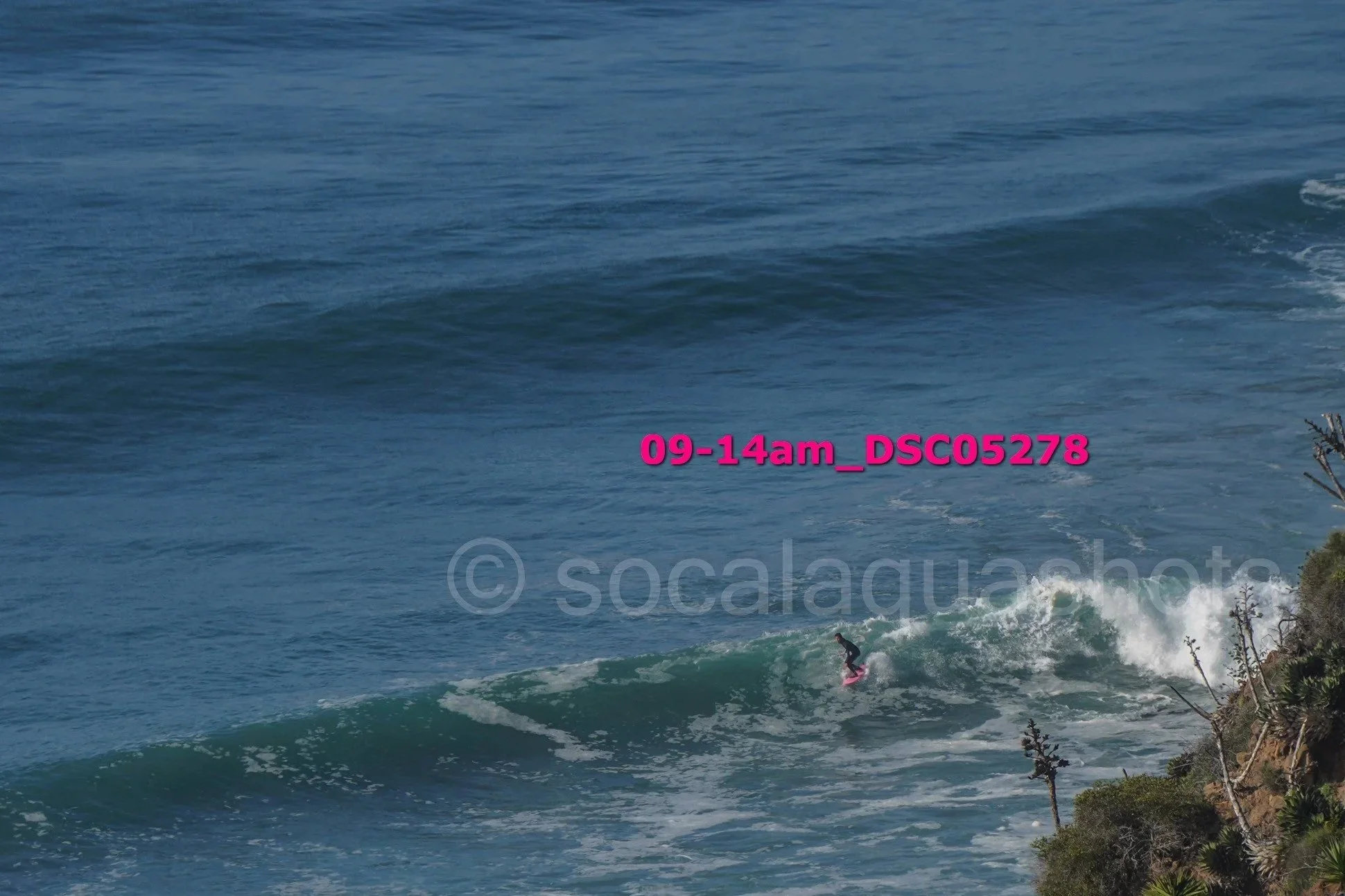 A surfer riding a wave near a rocky coastline with sparse vegetation.