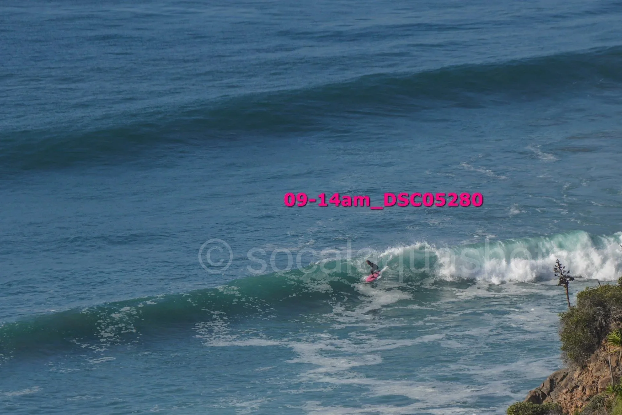 A person surfing a wave near a rocky shoreline with a small tree and bushes, in the ocean.