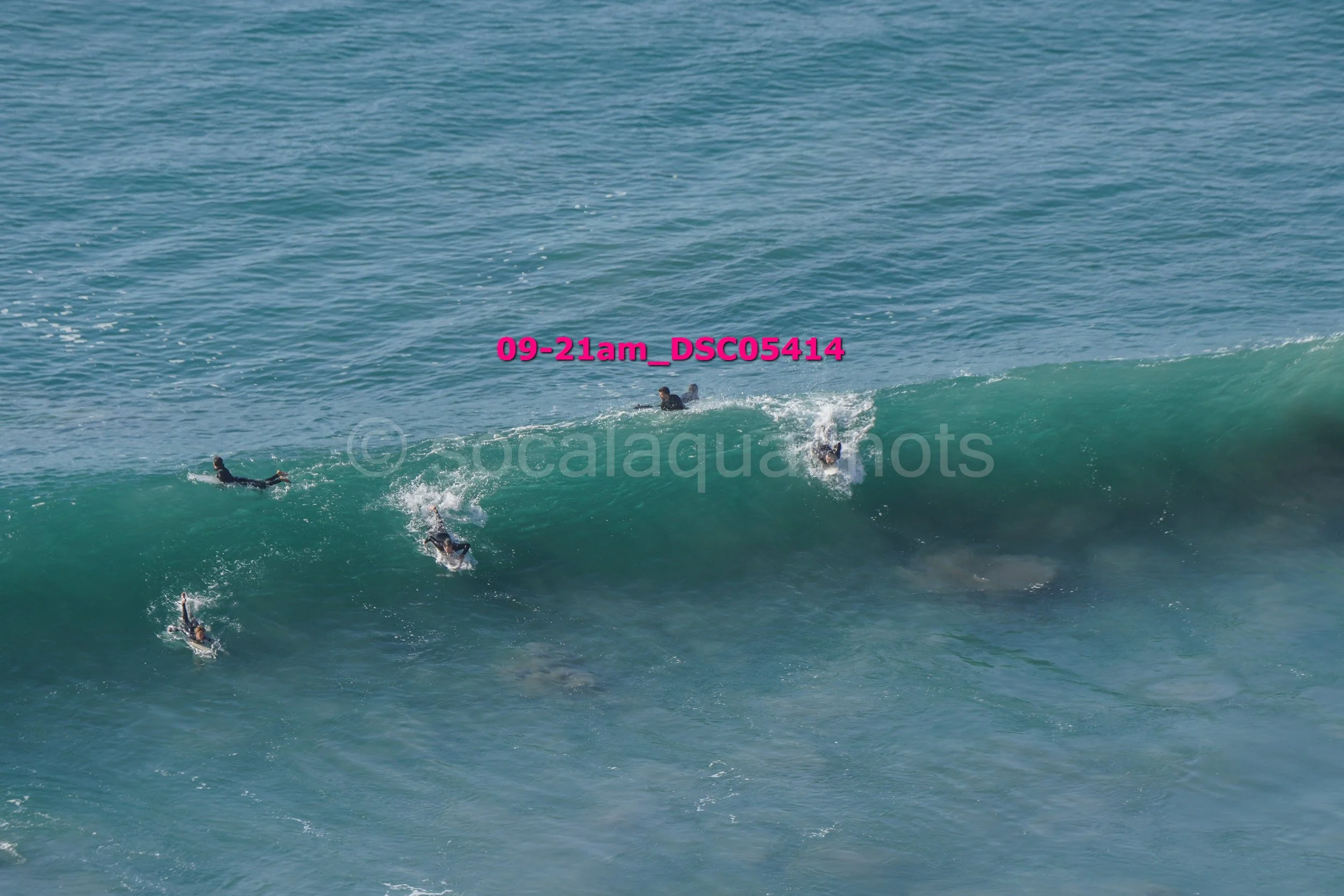 People surfing on a large ocean wave, some lying on surfboards, others riding the wave, with a person in the water nearby.