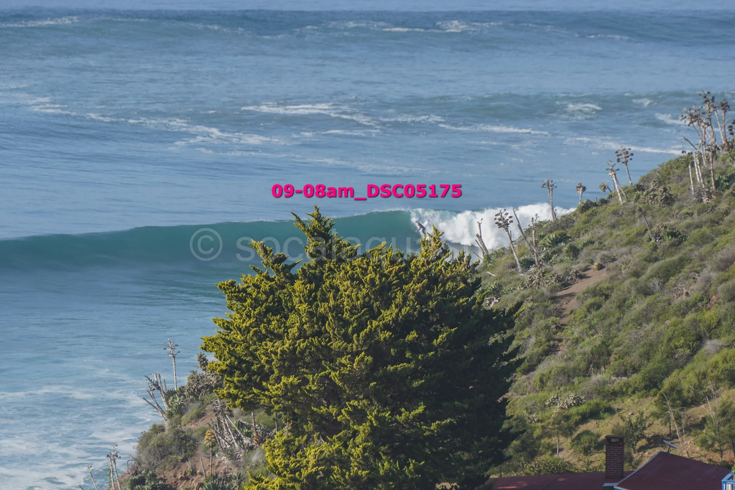 View of the ocean with waves breaking near a hillside covered with green trees and sparse vegetation, blue sky in the background.