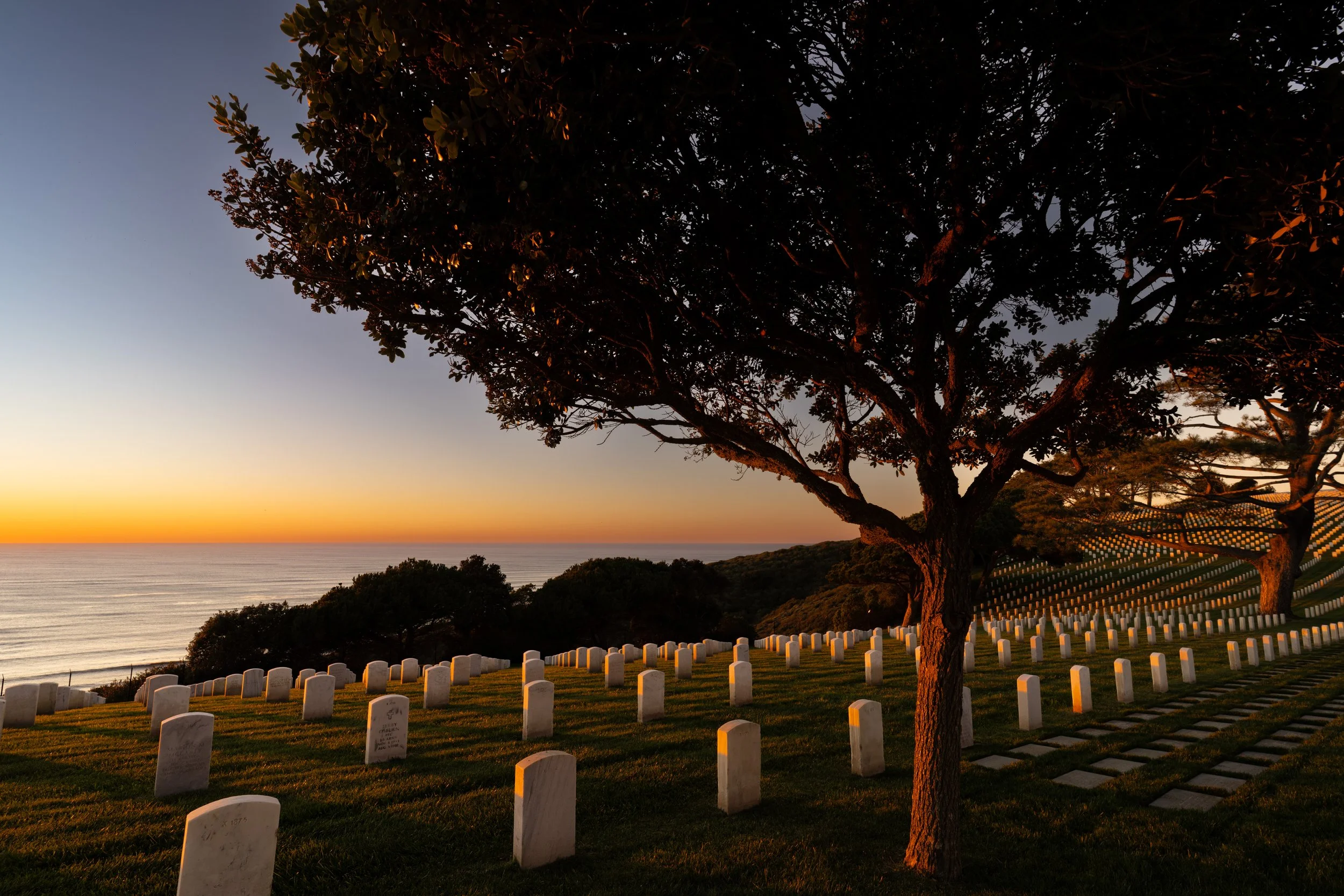 A sunset over a cemetery with rows of white grave markers, a large tree, and the ocean in the background.